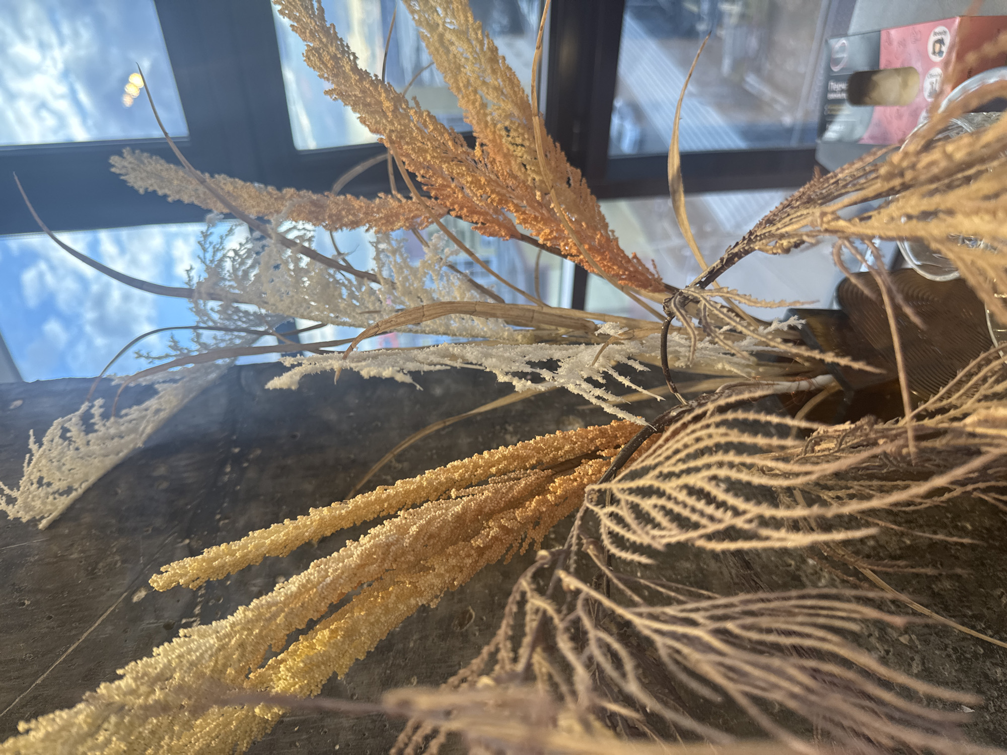 The image captures a decorative arrangement of various dried plants and foliage, positioned in the foreground and midground against a window view. The plants display a range of textures and colors, primarily in earthy tones of beige, light brown, white, and a muted reddish-brown. Some appear as feathery, elongated panicles resembling dried grasses or wheat, while others have a delicate, coral-like branching structure, and some are denser, spiky clusters.
The background reveals a large window divided by dark frames, through which a bright, cloudy sky is visible. Reflections of interior lights or external elements create circular bokeh effects on the windowpanes. Below the window, in the upper right background, a blurred object, possibly a package or box, can be seen. Its colors are red/pink and black, and faint text is discernable.
The plants are arranged on a dark, textured surface, possibly a wooden table or ledge, which extends into the lower part of the frame. There is no discernible activity taking place; the image is a still life.
Notable details include the clear daylight, suggesting a bright day with a blue sky and white clouds. The quality of light highlights the textures of the dried plants, creating subtle shadows and bright spots. The visible text on the blurred object in the background includes the English word "beauty" and what appears to be the Russian word "Техник" (Tekhnik, meaning technician or technical), along with small circular icons that might represent a face and body. While the image itself does not contain specific geographical markers, it is provided in the context of Izhevsk, Russia, depicting an indoor setting with an external view. The overall aesthetic is natural and decorative.