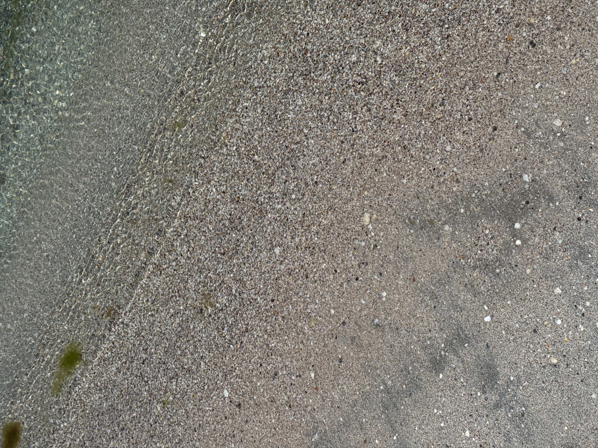 The image shows a close-up view of a beach surface in Мысовское сельское поселение, Ukraine. The right side of the frame displays a mix of sand and small shells. Towards the left side, clear, shallow water covers the sand and shells, creating a rippling effect on the seabed's appearance. There is some green algae visible in the bottom left corner.
