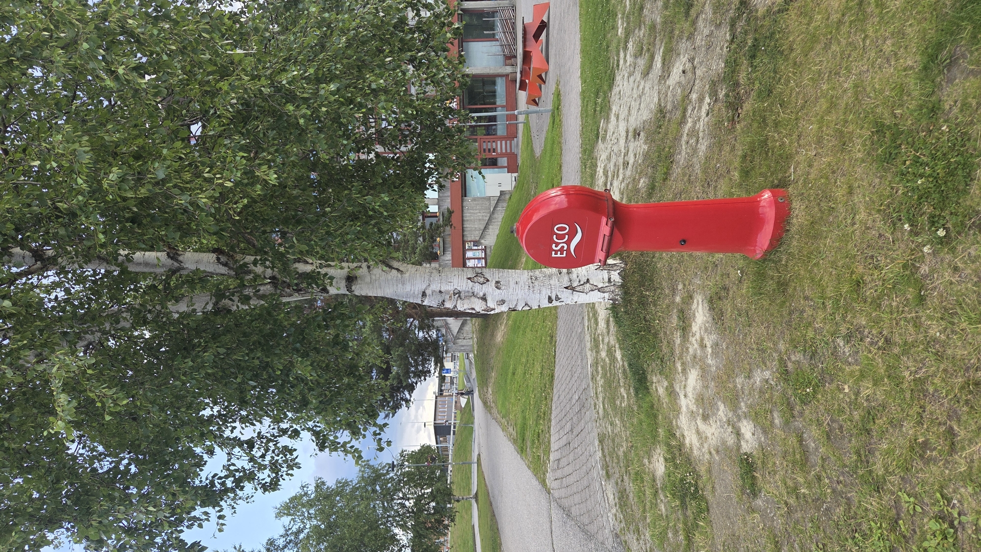 The image depicts an outdoor scene in Tynset, Norway, featuring a bright red "ESCO" branded fire hydrant positioned in front of a large birch tree with white, patterned bark. The hydrant is centrally located in the foreground, casting a shadow on the grassy ground. Behind the tree, a paved walkway made of interlocking bricks leads to a sidewalk or path. Further in the background, a modern building with concrete elements and glass windows is visible, along with some orange outdoor furniture resembling picnic tables. The overall environment suggests a public space, possibly a park or campus area, with elements of urban infrastructure and nature. The sky above is overcast with some visible clouds. No people are clearly discernible in the immediate foreground or midground, but a few figures can be seen in the distance near the building and along the paved path.