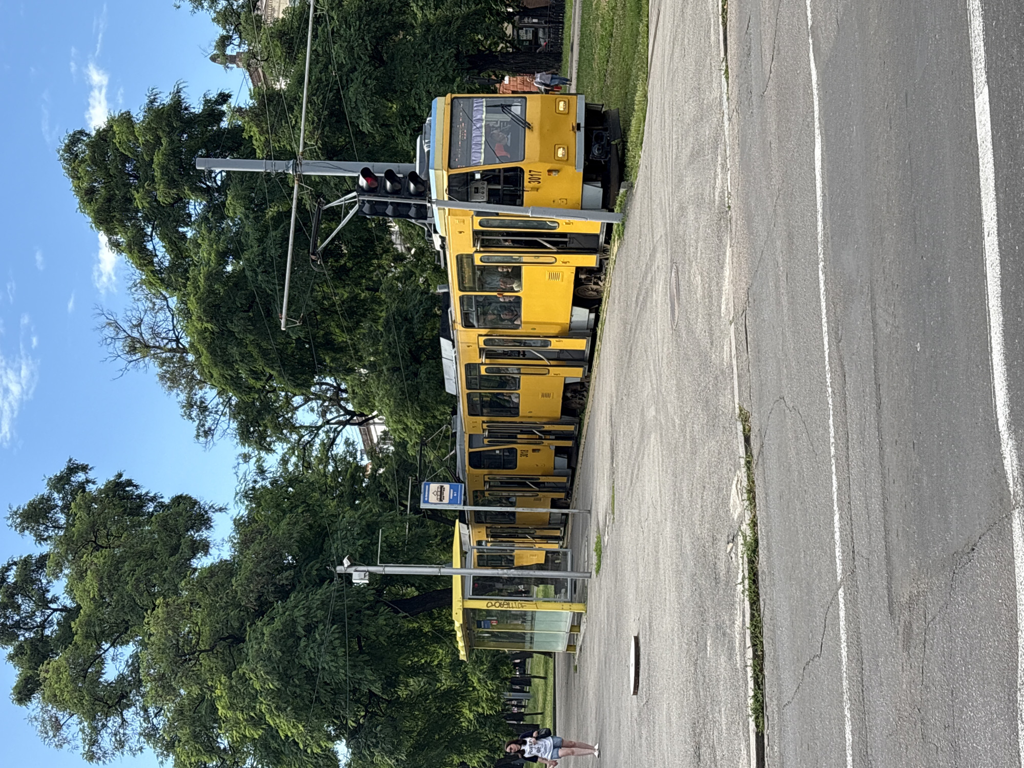 A yellow tram with the number 3017 is stopped at a tram stop. The tram is long and appears to be articulated, consisting of multiple sections. The tram stop has a yellow shelter with glass panels. A woman wearing a white t-shirt, blue shorts, and sunglasses is walking away from the tram stop towards the left side of the image. In the background, there are tall green trees and a bright blue sky with some clouds. A traffic light is visible above the tram. The tram tracks are embedded in a paved area, and a road with white markings is in the foreground. The scene appears to be an outdoor public space in a city. This scene is located in the city of Dnipro, Ukraine.