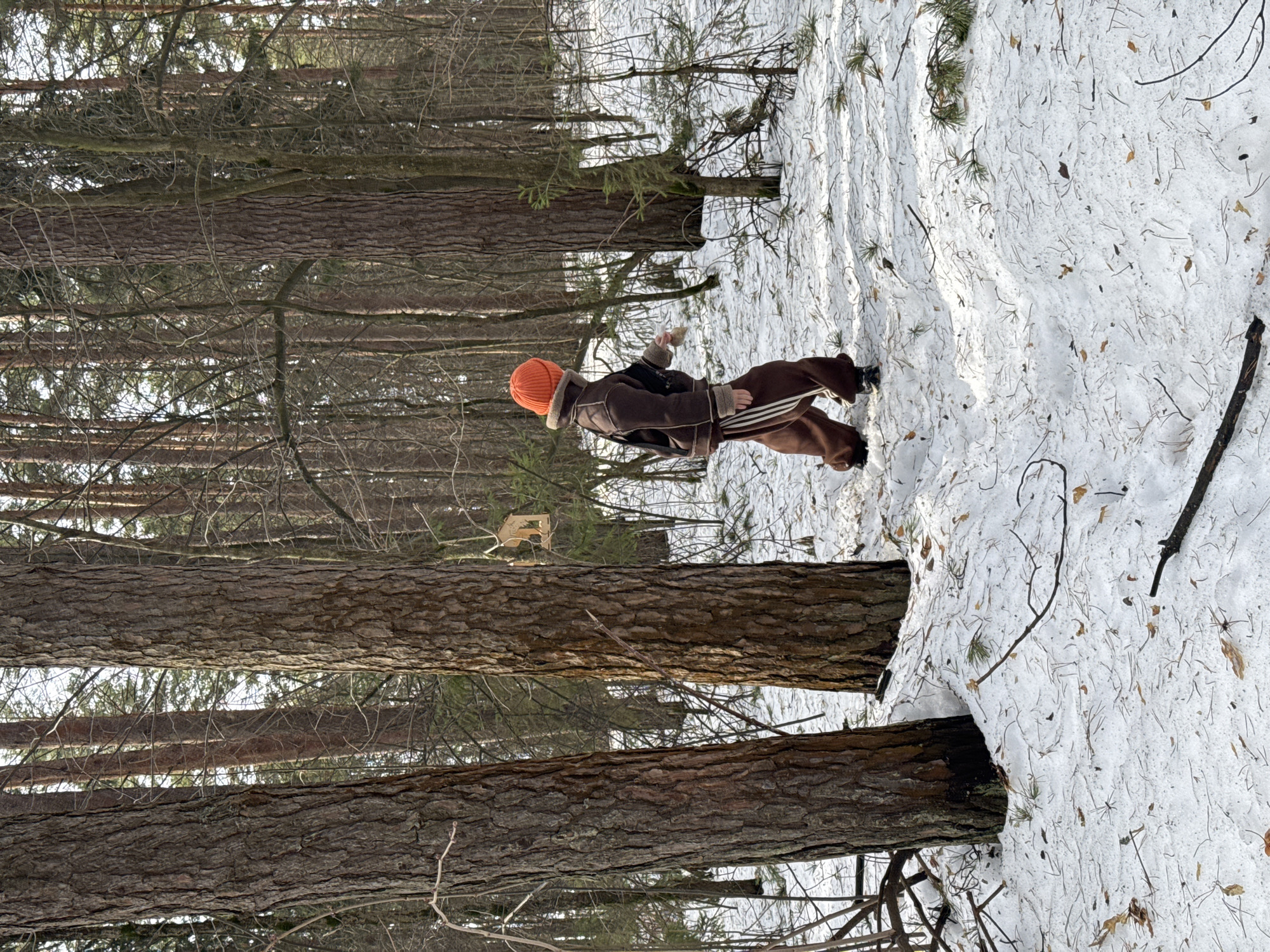 A person wearing an orange hat, brown jacket, and brown pants is standing in a snowy forest. The forest appears to be a mix of deciduous and coniferous trees. The ground is covered in snow with scattered branches and pine needles. The location is possibly in Votkinsk, Russia.