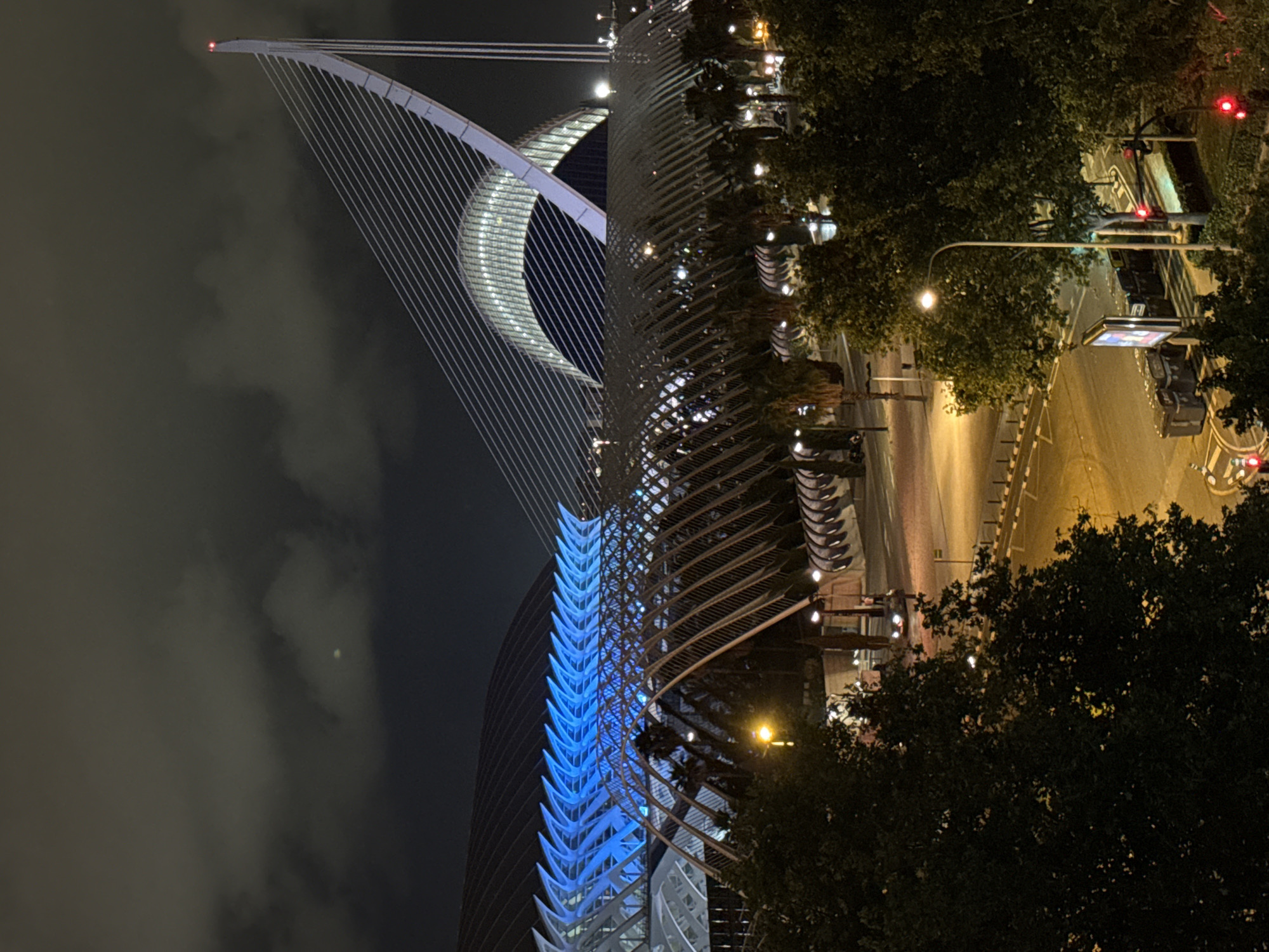 The image captures a nighttime aerial perspective of the City of Arts and Sciences in Valencia, Spain. The sky is dark and heavily overcast with grey clouds; a faint, diffuse, circular light source, consistent with the moon, is visible through the clouds in the upper-left quadrant.
In the upper right, the Pont de l'Assut de l'Or is prominent, featuring a tall, slender, white angled pylon with a red light at its apex. Multiple white suspension cables extend diagonally from the pylon towards the lower right, supporting an unseen bridge deck. To the left of this bridge structure, the curved, ribbed roof of L'Hemisfèric is visible, illuminated with internal white light.
Further to the left, a substantial portion of the Museu de les Ciències Príncipe Felipe is depicted. Its upper, fan-like structural elements are illuminated with a distinct bright blue light, while the interior skeletal framework below is lit with warm white light. Palm trees are visible in the vicinity of these structures, integrated into the complex's landscaping.
The mid-ground features a multi-lane road network illuminated by amber streetlights. White road markings are visible on the asphalt. A prominent, tall street lamp with a bright white light stands on the right side of the road. Two red traffic signals are active on the right, positioned to control traffic flow. Adjacent to the road, near the traffic signals, a large advertising board and several dark-colored bins are present. One dark-colored vehicle is visible on the road in the mid-left, passing under one of the architectural arches. A single human figure is discernable standing near the base of the architectural elements in the mid-left area. The immediate foreground is dominated by dark, dense foliage from trees, partially obscuring the lower portions of the scene.