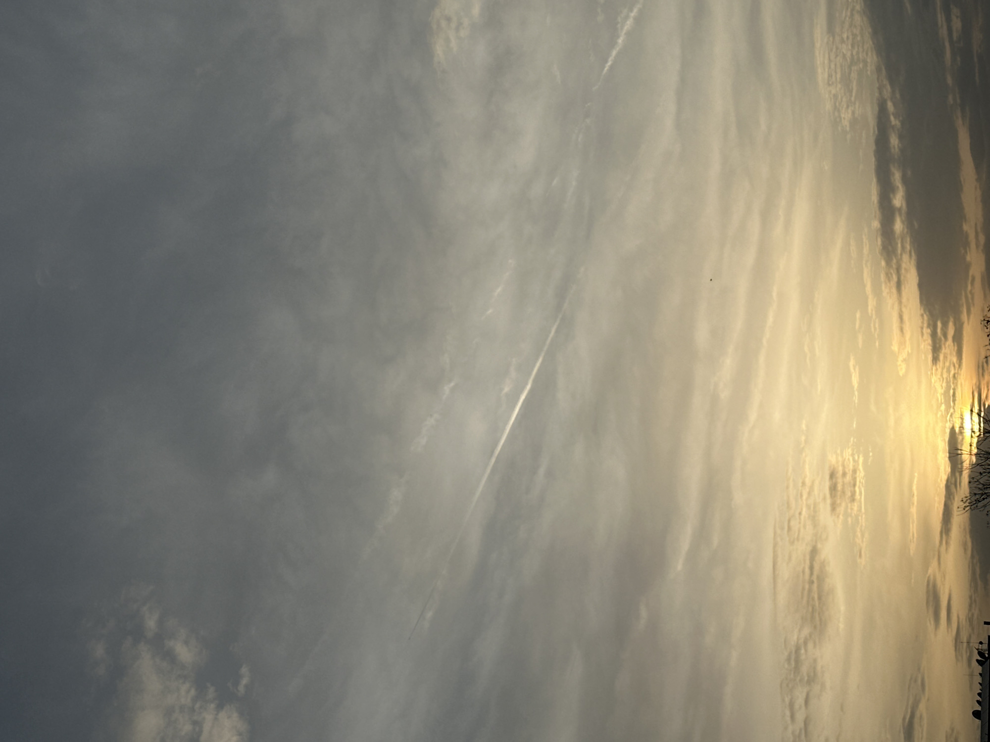 The image captures a serene sky scene at sunset over Sofia, Bulgaria. The sky transitions from a darker, muted grey-blue on the left to a vibrant, warm golden-yellow on the right, where the sun's light emanates strongly from beyond the frame. Various cloud formations are visible, ranging from diffused, soft grey clouds on the darker side to illuminated, wispy, and streaky clouds catching the golden light closer to the horizon. Some darker, more textured clouds are present on the far right, partially obscuring the brightest part of the sunset.
A prominent, bright white airplane contrail stretches diagonally across the sky, running from the bottom-left to the upper-right of the image. A tiny dark speck, possibly a bird, is discernible in the mid-right section of the golden-lit sky. Along the far right edge of the horizon, the silhouettes of bare tree branches and possibly distant rooftops or structures are visible against the bright light. The overall atmosphere suggests the calm ending of a day. There are no people, explicit objects other than the contrail and potential bird, or visible text in the image.