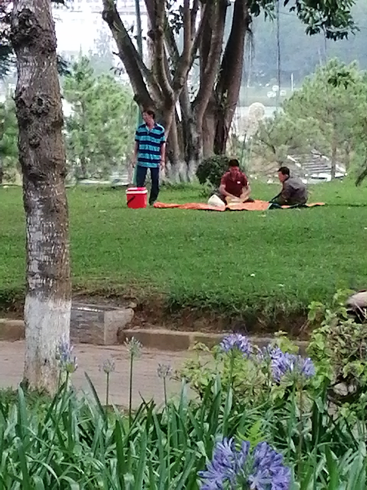 This is a full shot photograph taken at Xuan Huong Lake in Da Lat, Vietnam. In the foreground, lush green grass is dotted with blooming purple Agapanthus flowers. A large tree trunk, with a white-washed lower section, stands to the left. In the mid-ground, a man in a blue and black striped shirt and dark pants stands near a red bucket. Further back, on an orange blanket, two men are seated on the grass. One man, wearing a red shirt, is facing the other, who is wearing a dark jacket. They appear to be engaged in conversation or sharing food. In the background, a lake is visible, with trees and more vegetation surrounding it. The overall atmosphere is serene and relaxed, suggesting a leisurely day outdoors.
