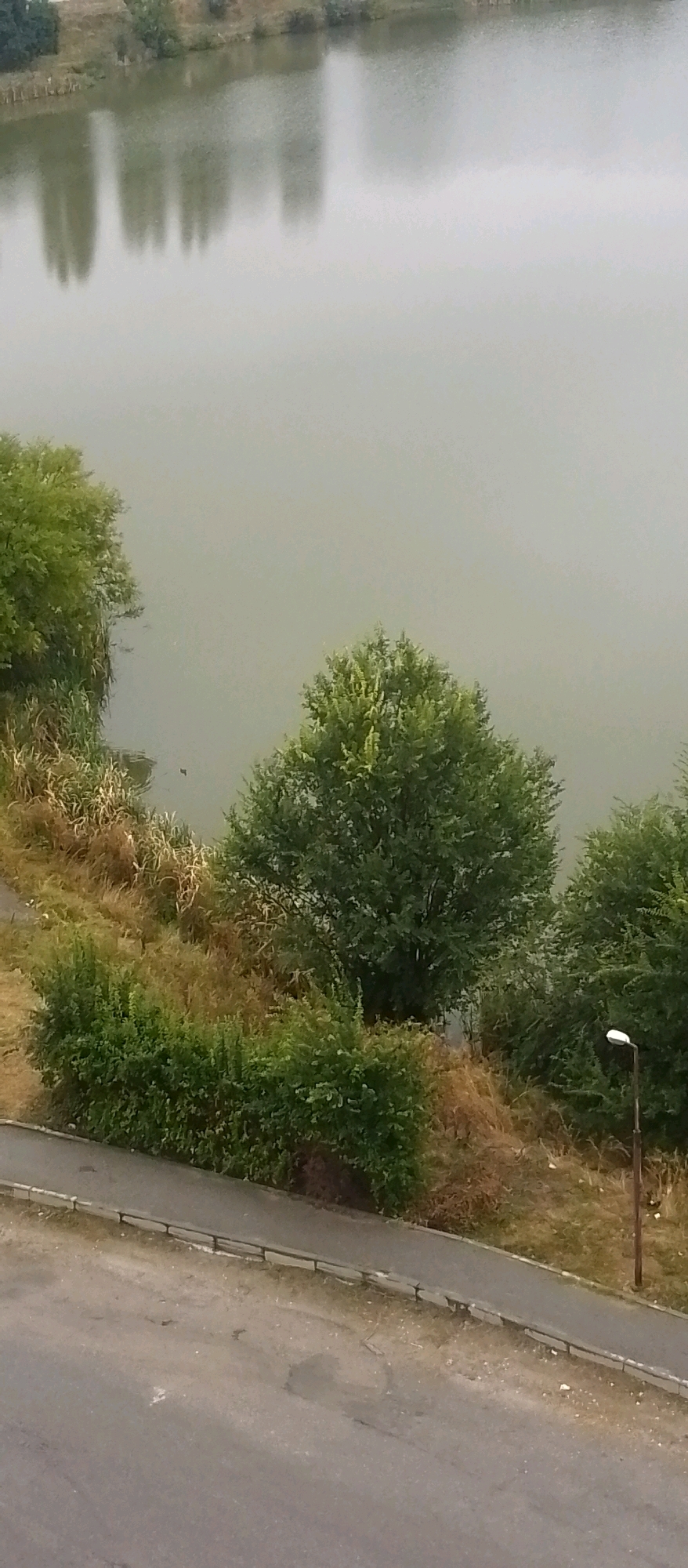 The image shows an overhead view of a body of water with trees and vegetation along its edge. A paved path runs along the embankment, with a lamppost visible near the right edge of the frame. The water is calm and reflects the trees and sky, creating a somewhat hazy appearance. A small dark object, possibly a bird, is visible on the water's surface. The surrounding area appears to be a park or natural space within an urban environment, given the presence of the paved path and lamppost. The overall lighting suggests an overcast or early morning/late evening setting.