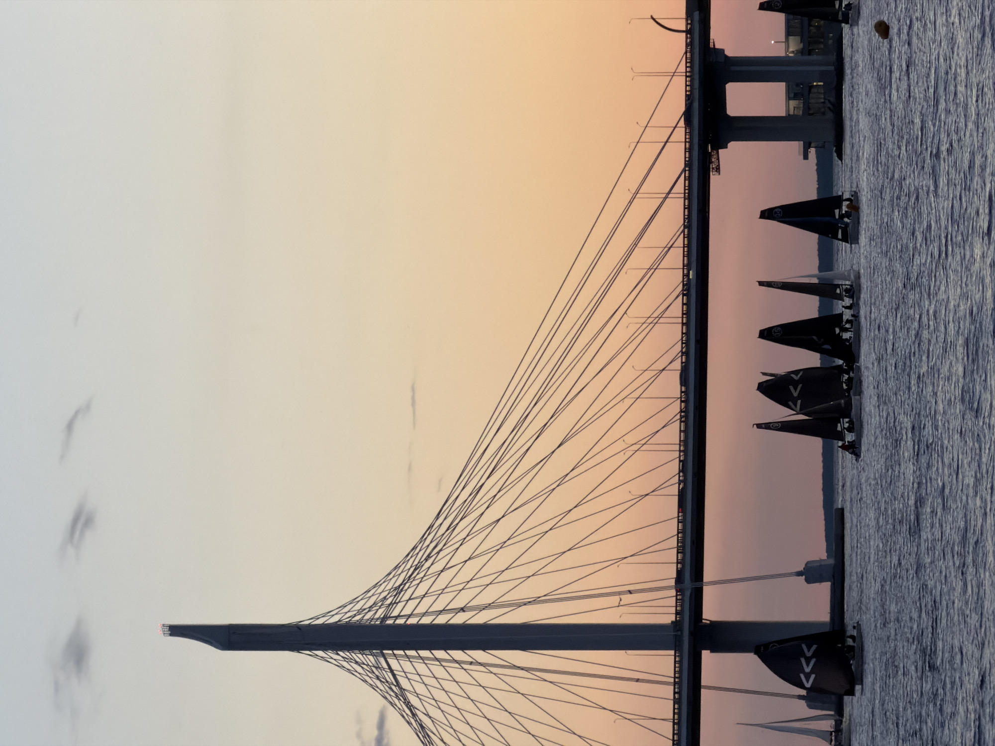 The image depicts a sunset over the Gulf of Finland in Saint Petersburg, Russia, with the Western High-Speed Diameter bridge prominently featured. A fleet of sailboats, some with dark sails displaying a triple chevron pattern, are navigating the water in the foreground. The sky transitions from a pale blue at the top to warm orange and pink hues near the horizon. The towering cable-stayed bridge, with its distinctive pylon and supporting cables, stretches across the frame. Cars are visible on the bridge, and lampposts line its structure. In the distance, the shoreline with buildings and vegetation is faintly visible. The overall atmosphere is serene, capturing a moment of maritime activity against a dramatic natural backdrop.