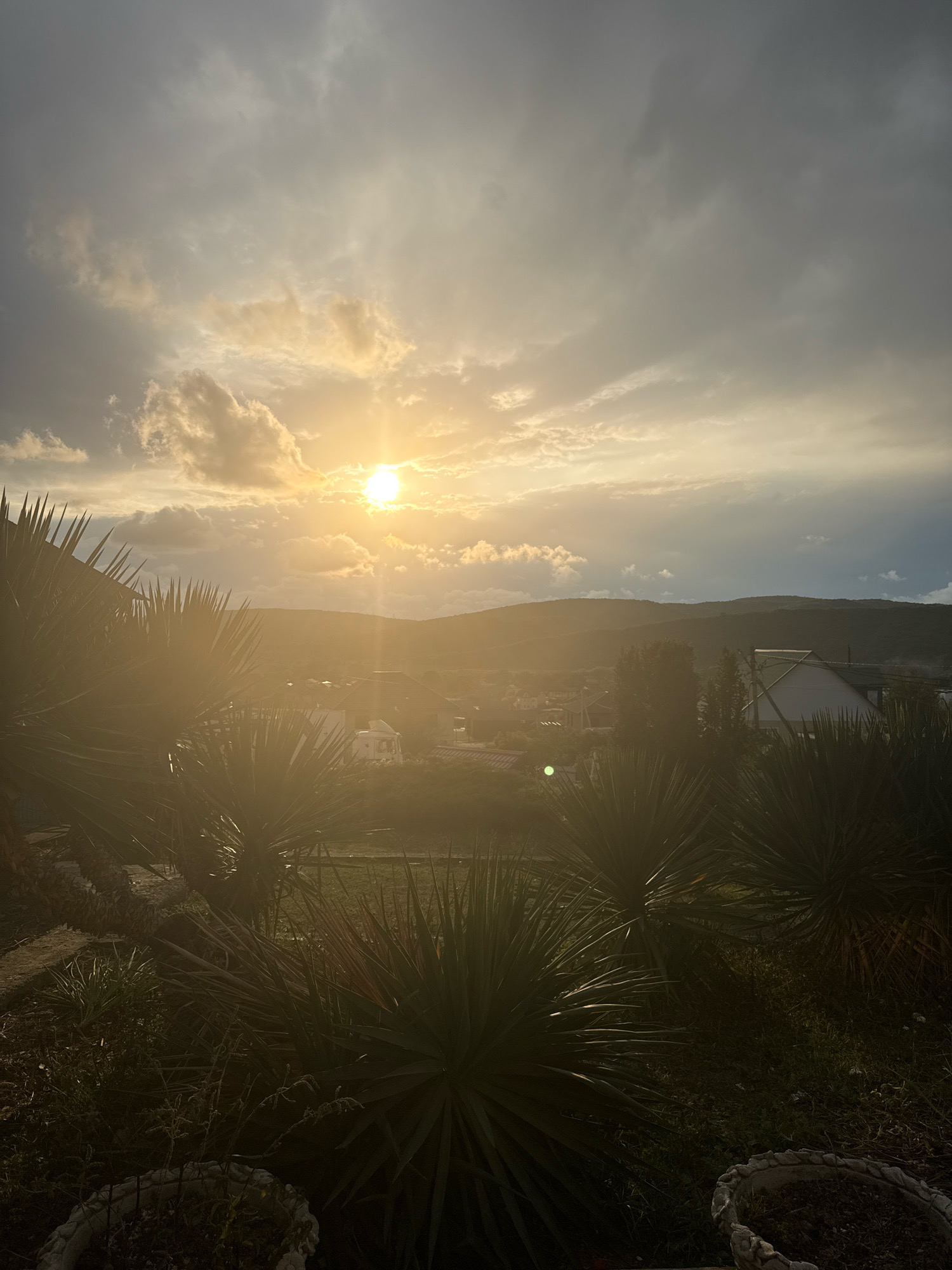 The image depicts a sunset with the sun positioned in the upper center of the frame, casting a warm golden light across the scene. Clouds are visible in the sky, some appearing darker and more dramatic than others. In the foreground, several yucca plants with spiky leaves are prominent, with some appearing to be in pots. Beyond the plants, a small town or village is visible with houses and some trees. In the background, rolling hills are silhouetted against the twilight sky. The overall impression is one of a rural or semi-rural landscape at dusk. The location is identified as Tenginka, Russia. There are no people visible in the image.