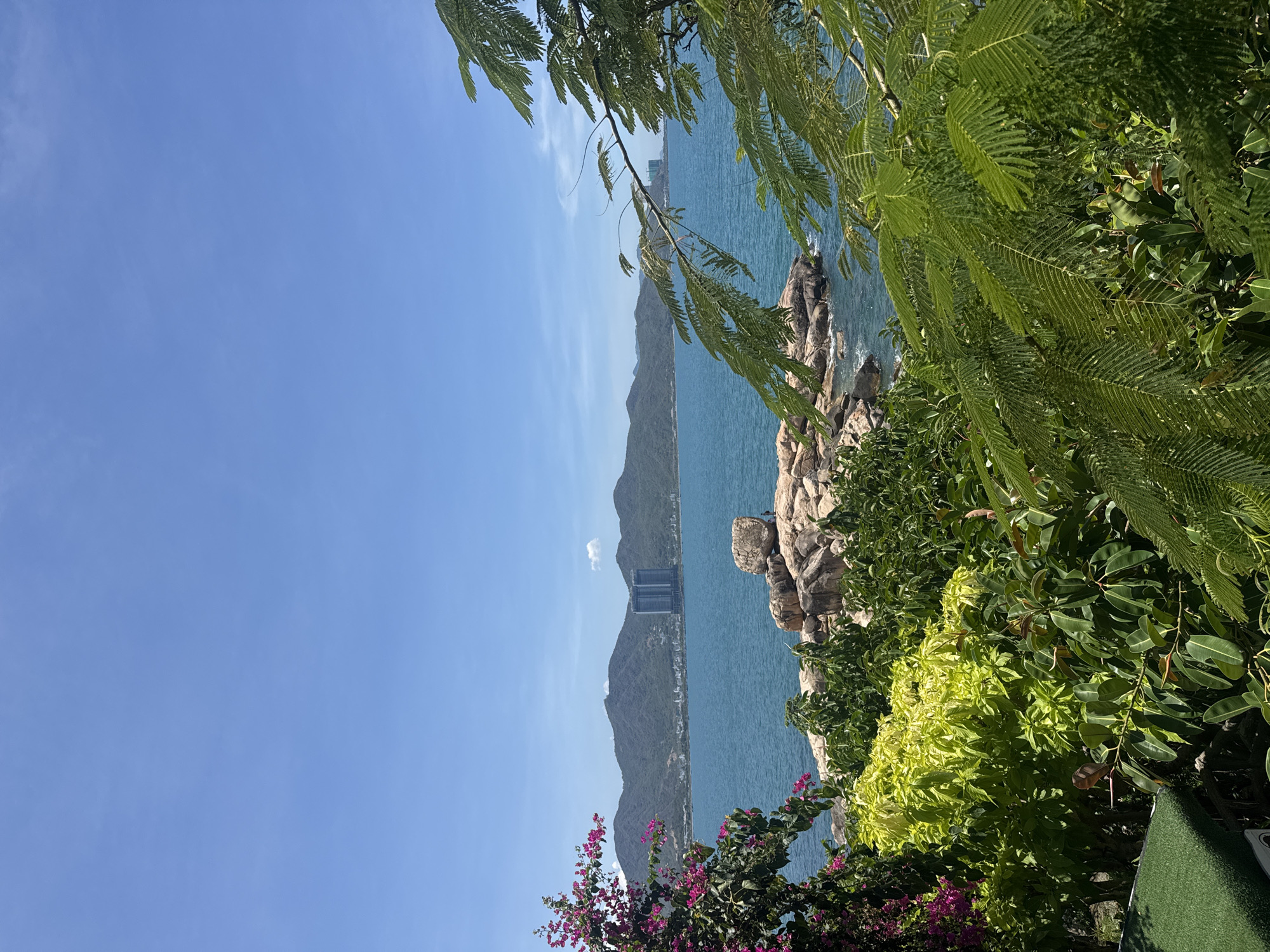 The image shows a landscape scene in Bac Nha Trang Ward, Vietnam. The view is from an elevated position, partially obscured by dense green vegetation in the foreground, including ferns and flowering plants. In the midground, the blue ocean extends toward a mountainous coastline. A multi-story building is visible along the coastline. Rocky formations are also present along the shore. The sky is a clear, bright blue with a few sparse clouds.
