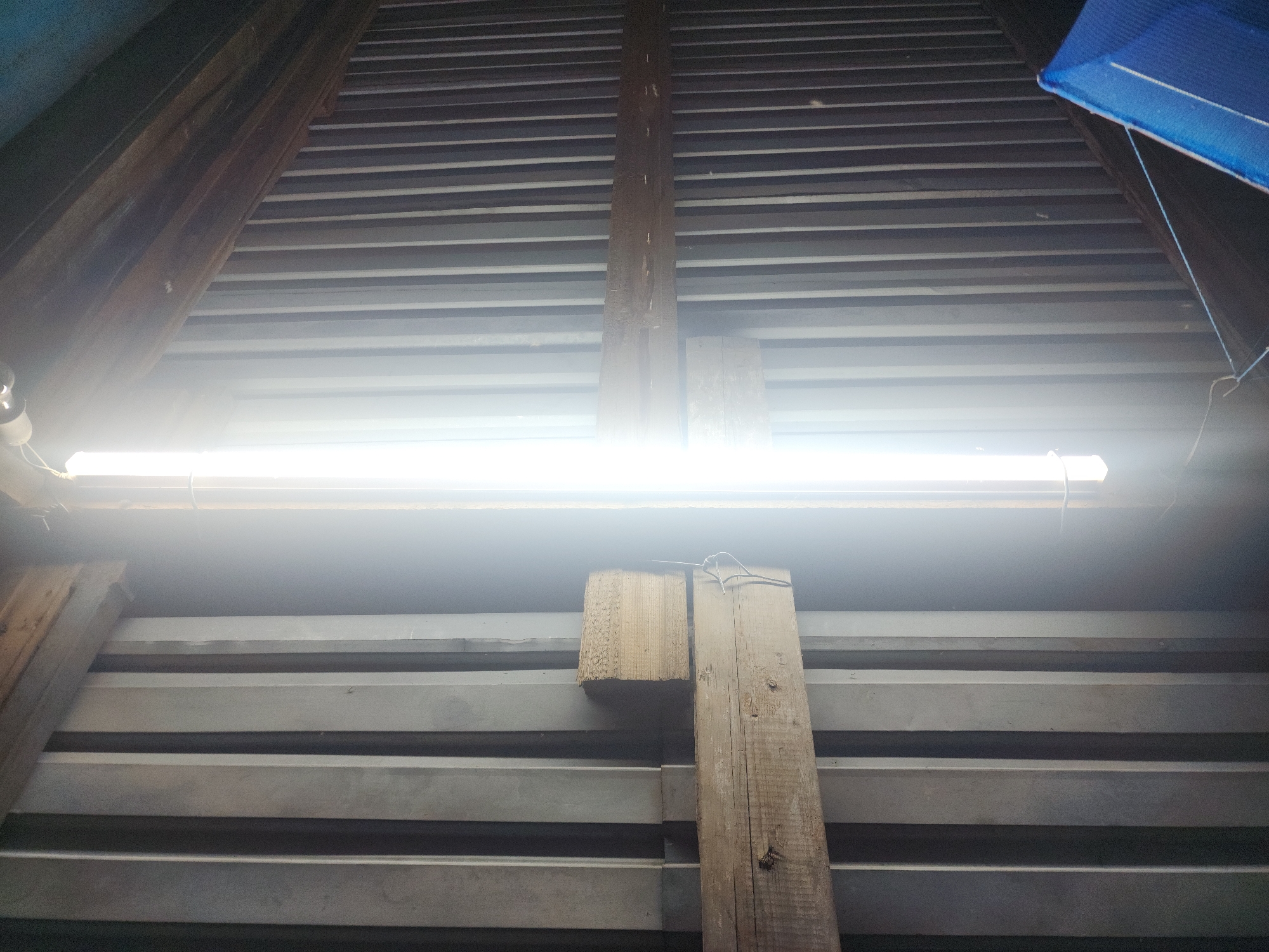 The image shows a fluorescent light fixture attached to a wooden beam, which is suspended from a corrugated metal ceiling. The light is very bright, creating a glare that obscures some details. Wooden beams are also visible, supporting the ceiling. In the lower left corner, a blue mesh material is partially visible, possibly part of a net or cover. The scene appears to be an interior space, likely a workshop, shed, or agricultural building, given the materials and construction. The location is Ushtobe, Kazakhstan, although the image itself does not provide specific visual cues to confirm this location beyond the metadata provided.