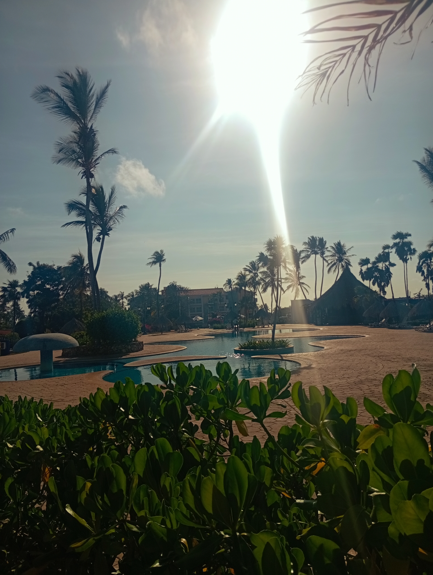 The image depicts a serene, sun-drenched tropical resort scene, likely in Playa El Agua, Venezuela. The setting features a large, winding swimming pool with clear blue water, surrounded by reddish-brown paved areas.
In the immediate foreground, vibrant green foliage and bushes partially obscure the lower portion of the view, with individual leaves brightly lit by the strong sunlight. Across the pool area, numerous tall palm trees of varying heights are scattered, defining the tropical landscape. To the left of the pool, a distinctive mushroom-shaped concrete structure, possibly a water feature, stands. On the right side, a traditional thatched-roof building, or "palapa," is visible, surrounded by more palm trees. In the background, low-rise hotel buildings with terracotta roofs can be seen nestled among additional trees and greenery.
The sun is a dominant element, positioned in the upper center-right of the frame, emitting intense light and creating a prominent lens flare that streaks across the sky. This strong, low-angle sunlight suggests either early morning or late afternoon. The sky is a clear, light blue with a few wispy white clouds. No individuals are visible, contributing to a peaceful and tranquil atmosphere. There is no discernible text within the image. The overall scene evokes a sense of relaxation and an inviting vacation destination.