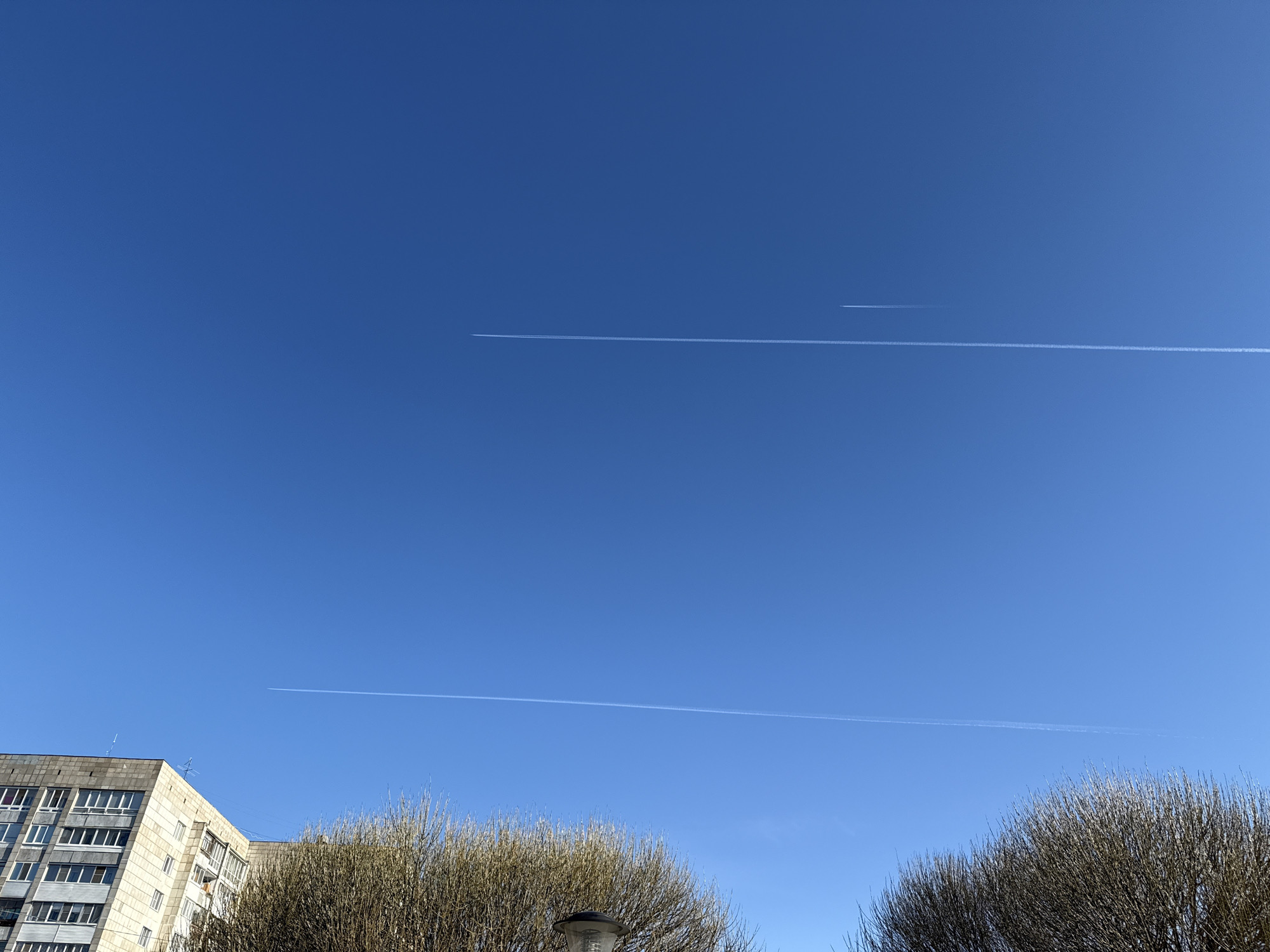 The image captures a bright blue sky above a city, likely in the Unknown region, given the unknown city information. Two parallel contrails cut across the sky, indicating the passage of aircraft at high altitude. In the lower part of the frame, a residential building with multiple windows is partially visible on the left. The foreground is dominated by leafless, budding trees, which adds a sense of seasonal transition. A street lamp is also visible among the trees.