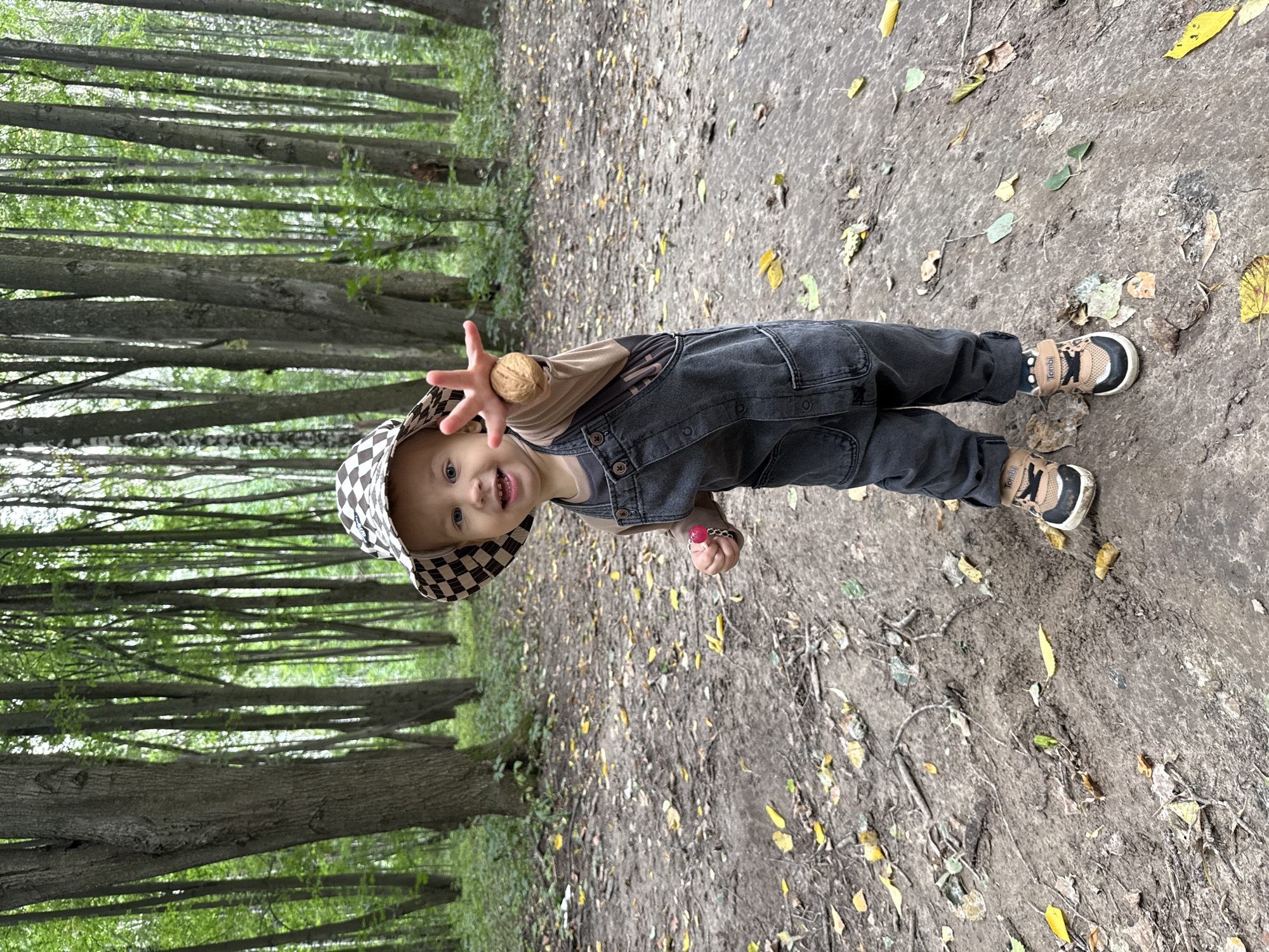 A young child, wearing a checkered hat and denim overalls, stands in a forest. The child is holding a walnut in their outstretched hand, presenting it to the camera. They are on a dirt path, with fallen leaves scattered around. The background consists of numerous tall trees with green foliage. The scene is brightly lit, suggesting daytime. There is no indication of the city of Dumino, Russia, in the image.