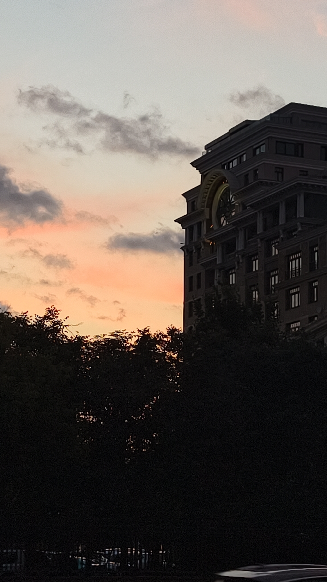 This is a vertical, medium-shot photograph of a building with a large clock face against a dusk sky in Moscow, Russia. The building is dark, with a complex architectural design featuring several levels, windows, and decorative elements. A large, circular clock with golden accents is prominent on the upper portion of the building. In the foreground, a dense silhouette of dark trees obscures the lower part of the image. The sky is a gradient of soft colors, transitioning from a light gray at the top to pale pink and orange closer to the horizon, with scattered clouds. The lighting suggests it is either early morning or late evening. No people are visible in the frame.