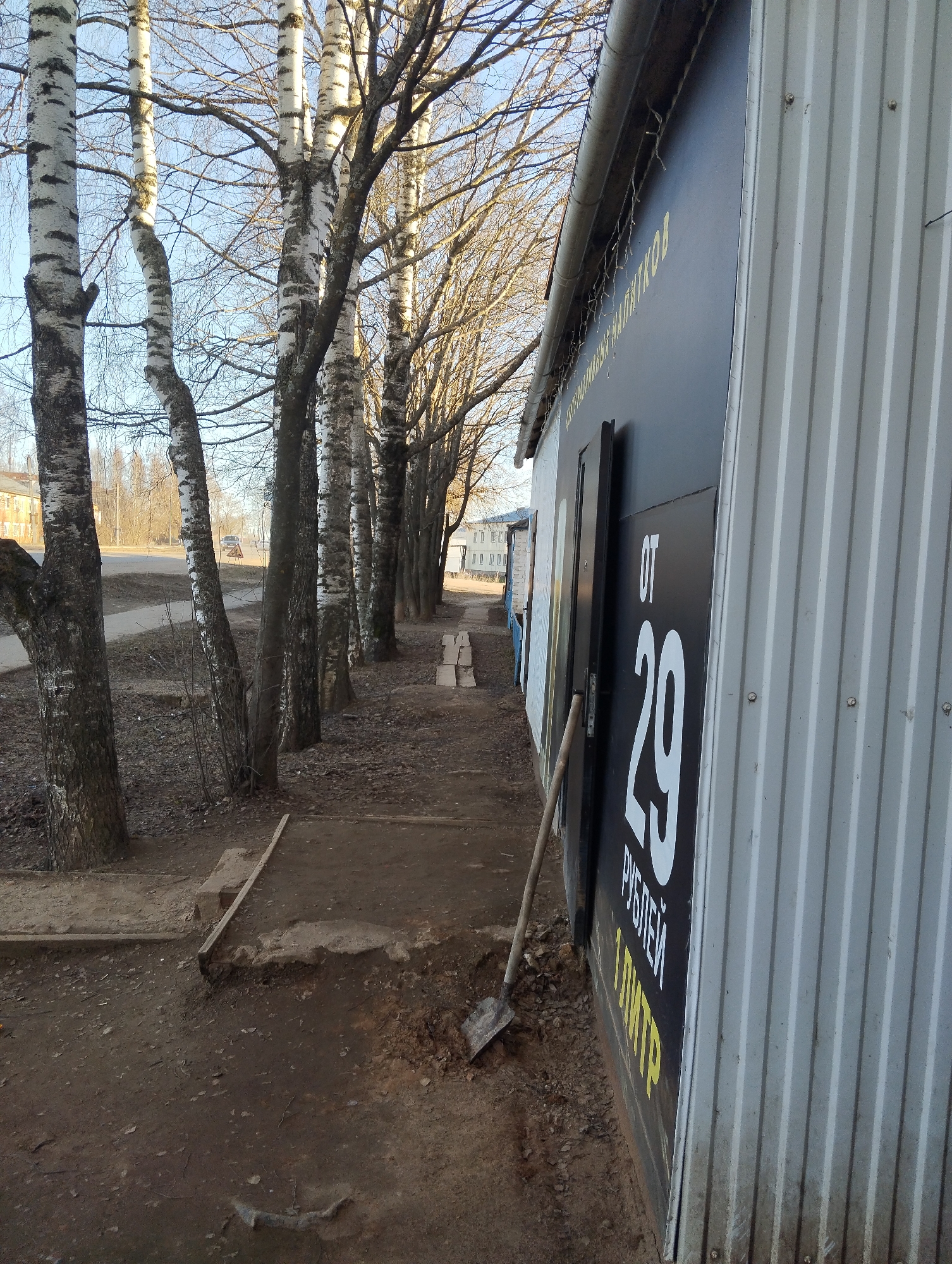 This image depicts a street scene in Krasnogorskoye, Russia, characterized by a row of birch trees lining a dirt path next to a commercial building. The weather is clear and sunny, with a bright blue sky overhead. The bare branches of the trees suggest a season like late autumn, winter, or early spring.
On the left side of the frame, several tall birch trees with their distinctive white and dark bark stand prominently, casting shadows. They form an alley or a natural barrier along a unpaved ground that serves as a sidewalk. Beyond the trees, a paved road is visible, with a distant white car and a yellow triangular road sign. Further down the road, some multi-story buildings can be seen.
To the right, a building with a gray, corrugated metal exterior and a dark-colored facade dominates the foreground. A metal gutter runs along its roofline, from which some string lights are suspended. A shovel is propped against the building, resting on disturbed earth near the base of its wall, suggesting recent ground work or maintenance.
Visible text on the dark facade of the building includes the Russian word "НАПИТКОВ" (DRINKS), and below it, "ОТ 29 РУБЛЕЙ" (FROM 29 RUBLES), with "1 ЛИТР" (1 LITER) in yellow text below that, likely advertising the price of beverages. No people are visible in the scene. The lighting indicates it is daytime, possibly morning or late afternoon given the angle of the sunlight.