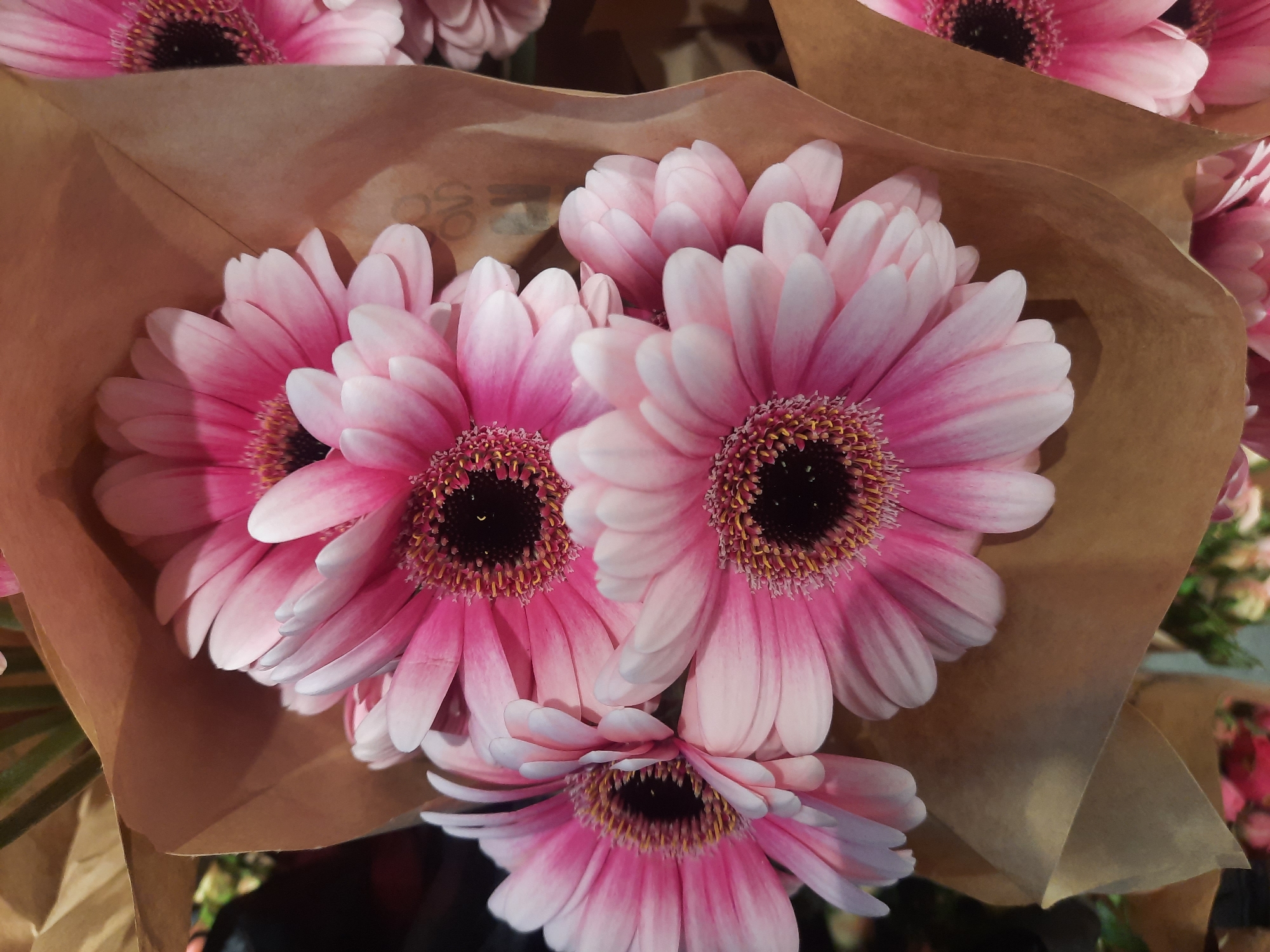 A close-up, overhead shot shows a bouquet of pink gerbera daisies wrapped in brown paper. The flowers are vibrant with delicate pink petals transitioning to white at the tips. Their dark centers are surrounded by fuzzy yellow stamens. The brown paper packaging folds and creases around the blooms, creating a warm, earthy contrast to the bright flowers. In the background, hints of other flowers and foliage are visible, suggesting a floral arrangement or display. The image appears to be taken indoors, likely in a shop or market setting. There is no discernible information about the city of Rosenheim, Germany within the image itself.