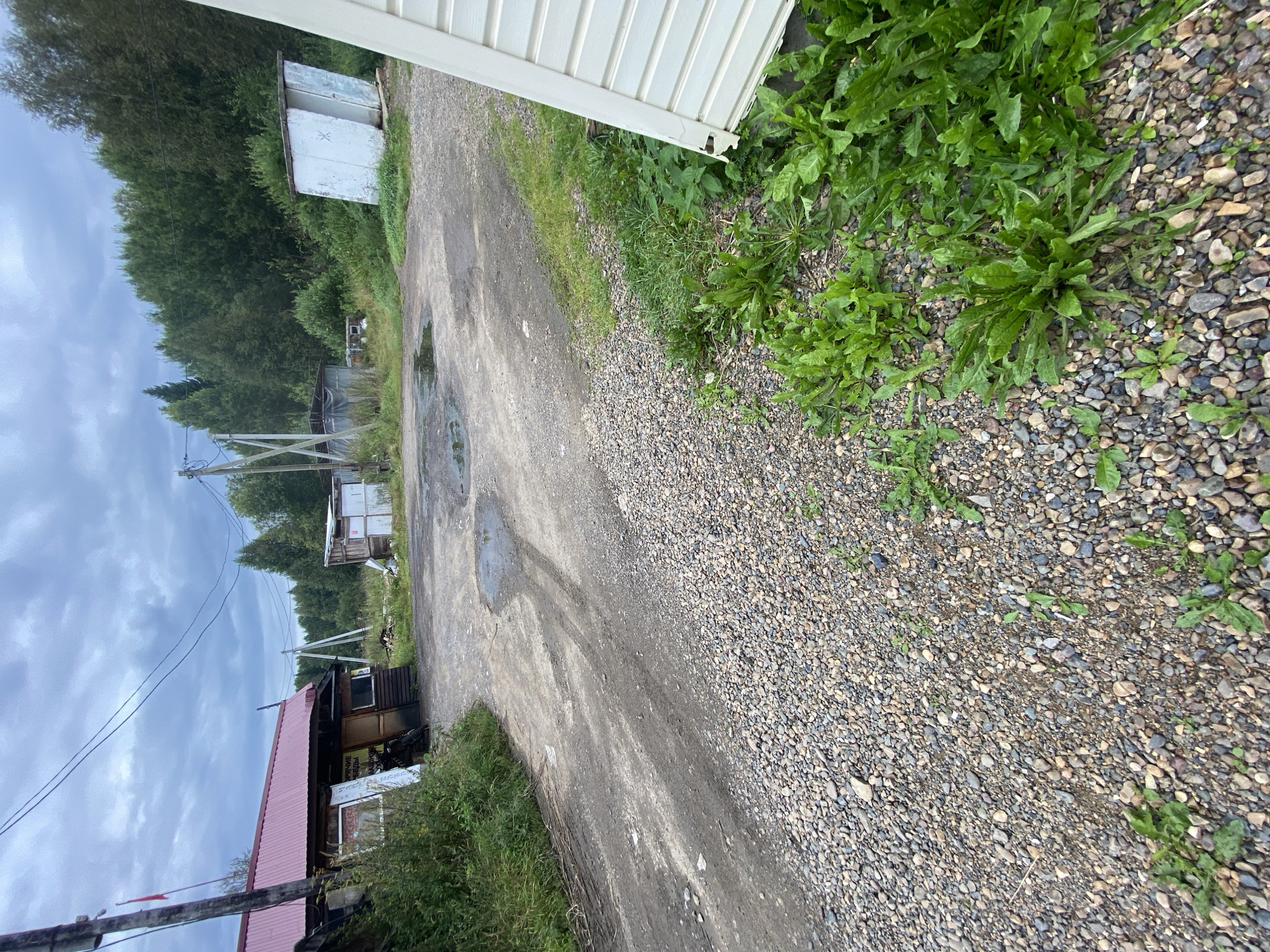 The image depicts a rural, overcast scene in the city of Anninsk, Russia. A gravel and dirt road forks in the foreground, leading towards a collection of structures. On the left, a building with a red metal roof and wooden walls is visible, with a sign bearing Cyrillic text above its entrance. To the right, there are several outbuildings, including two white sheds, one of which is partially open and appears weathered. A dense line of trees forms the backdrop, indicating a wooded area surrounding the property. The ground is covered in a mix of gravel and dirt, with some puddles of water scattered across the road. Green vegetation, including weeds and grasses, is present throughout the scene, particularly along the edges of the road and surrounding the buildings. The sky is cloudy and grey, suggesting a humid or rainy day. No people are visible in the image.