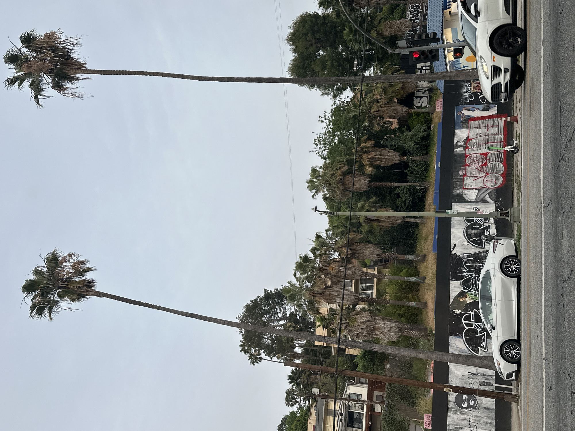 The image depicts a street scene in Los Angeles, California, identifiable by the presence of palm trees and a wall adorned with graffiti. Two tall, slender palm trees frame the left side of the image against a pale sky. A row of smaller palm trees and denser foliage is visible behind buildings and power lines. A white car is parked along the right side of the road, adjacent to a wall covered in graffiti and street art. A traffic light with a red signal is visible. The overall atmosphere suggests an urban environment.