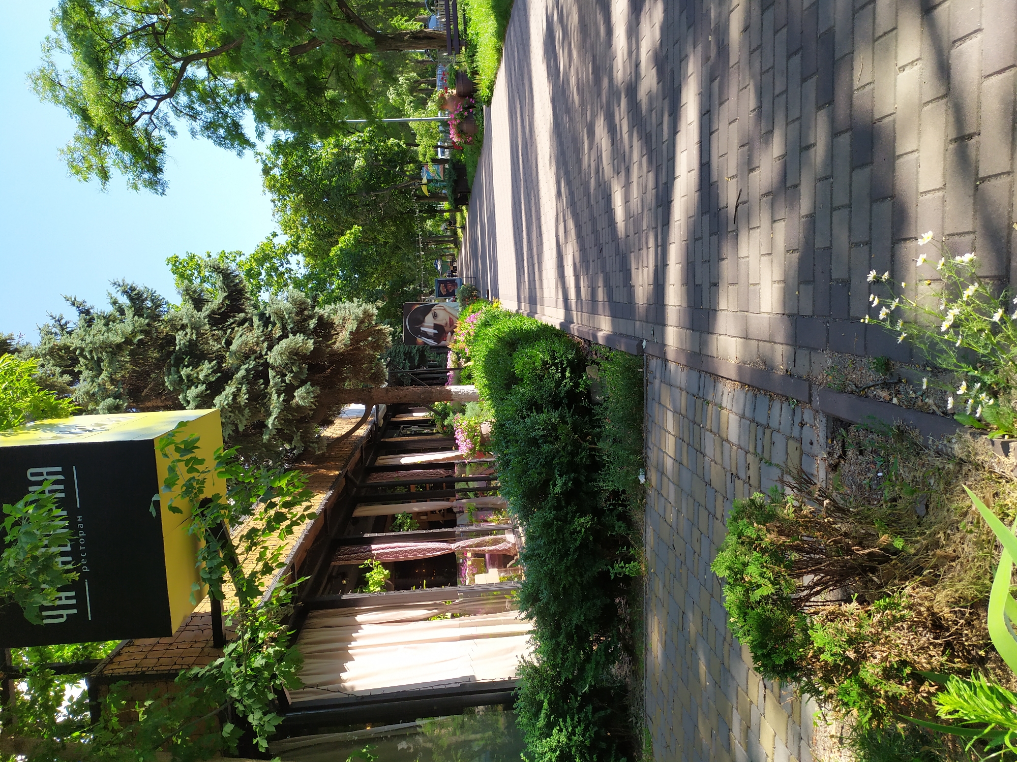 This image depicts a sun-dappled pedestrian walkway lined with trees, leading towards a building with a restaurant sign. The sign, in Cyrillic script, reads "ЧАЙНАЯ" and "ресторан". The building features large windows with light-colored curtains and is bordered by manicured green bushes and some flowering plants. The walkway is paved with gray rectangular bricks, and shadows from the trees create a geometric pattern across its surface. In the distance, there are more trees, benches, and a glimpse of what appears to be a street or larger park area. The overall scene suggests a pleasant outdoor setting on a clear day. Based on the Cyrillic signage and architectural style, the location is likely a public space or commercial establishment in Kyiv, Ukraine. There are no people clearly visible in the frame, though a distant indistinct figure or object may be present.