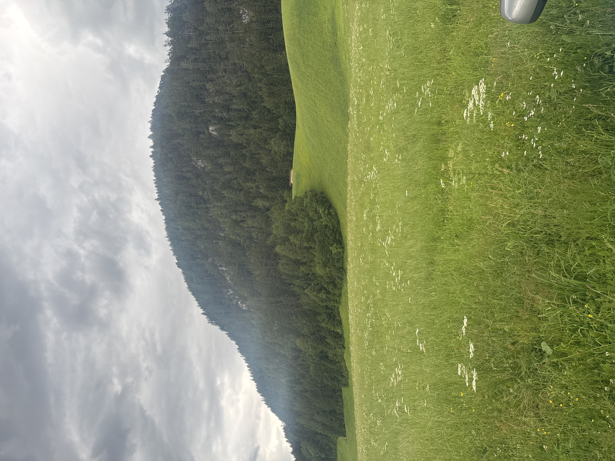 The image depicts a cloudy day in a rural, mountainous landscape, possibly near Hygna, Austria. In the foreground, a lush green meadow is dotted with numerous small white wildflowers. The middle ground features rolling green hills, with one particularly steep incline covered in dense coniferous trees that extend to the top of the frame. A small, reddish-brown structure with a light-colored roof is visible on the slope of one of the hills. The sky is overcast with dramatic grey clouds. The perspective suggests the photo was taken from a low angle, possibly from a vehicle, as a portion of a silver car's exterior is visible in the lower right corner. No people or animals are present in the scene.