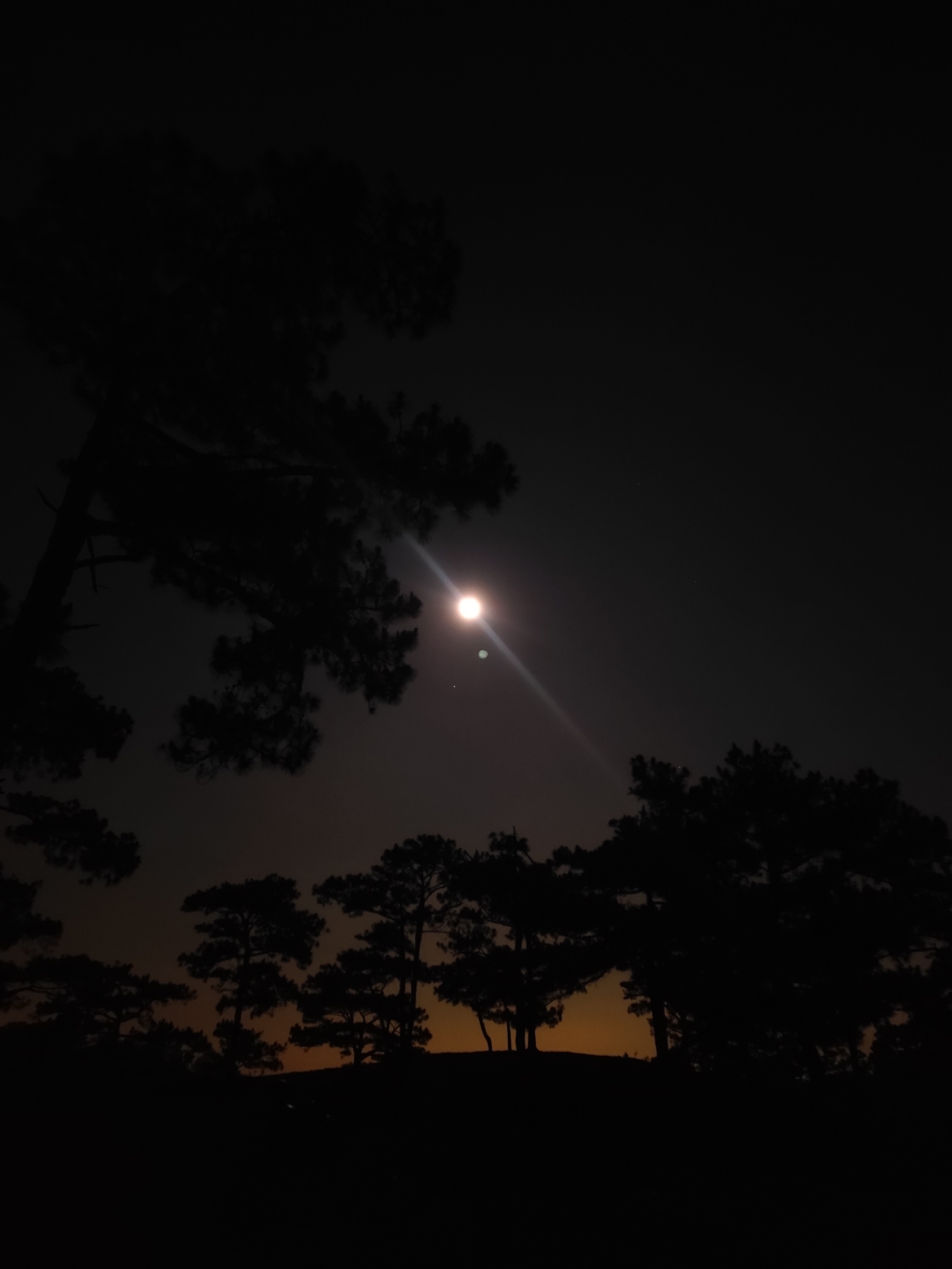 The image depicts a nighttime scene in Lạc Dương, Vietnam, showcasing a bright moon positioned above a line of silhouetted trees. The trees are mostly dark silhouettes against a slightly lighter horizon with an orange glow suggesting either the setting sun or city lights. The moon has a visible light flare extending downward. The location appears to be an elevated area or hill with trees overlooking the surrounding landscape, typical of the Lạc Dương region.