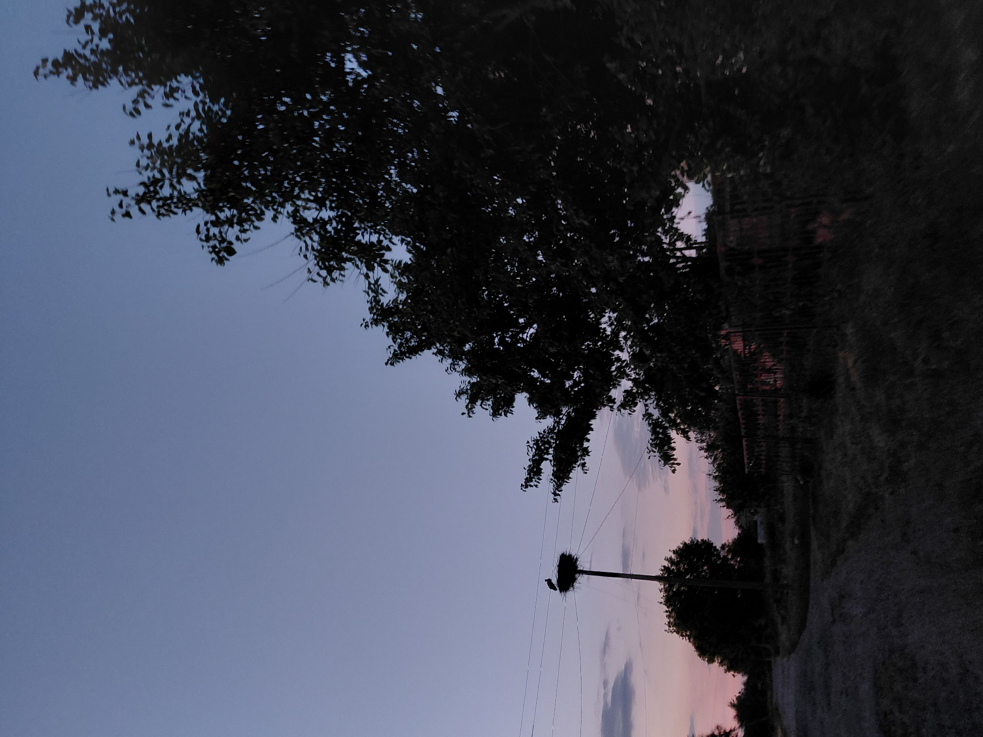 The image depicts a dusk scene in the village of Ustyvytsia, Ukraine. In the mid-ground, a stork's nest sits atop a utility pole on the left side of the frame. A single stork is visible within the nest. The nest is supported by a network of overhead wires. To the right, a large tree with dark foliage dominates the scene, casting shadows. The ground in the foreground is a gravel path leading into the distance. Behind the nest, a metal fence runs horizontally across the middle ground. The sky is a gradient of pale blue to soft pink, indicating the twilight hours. The overall environment appears rural and quiet.