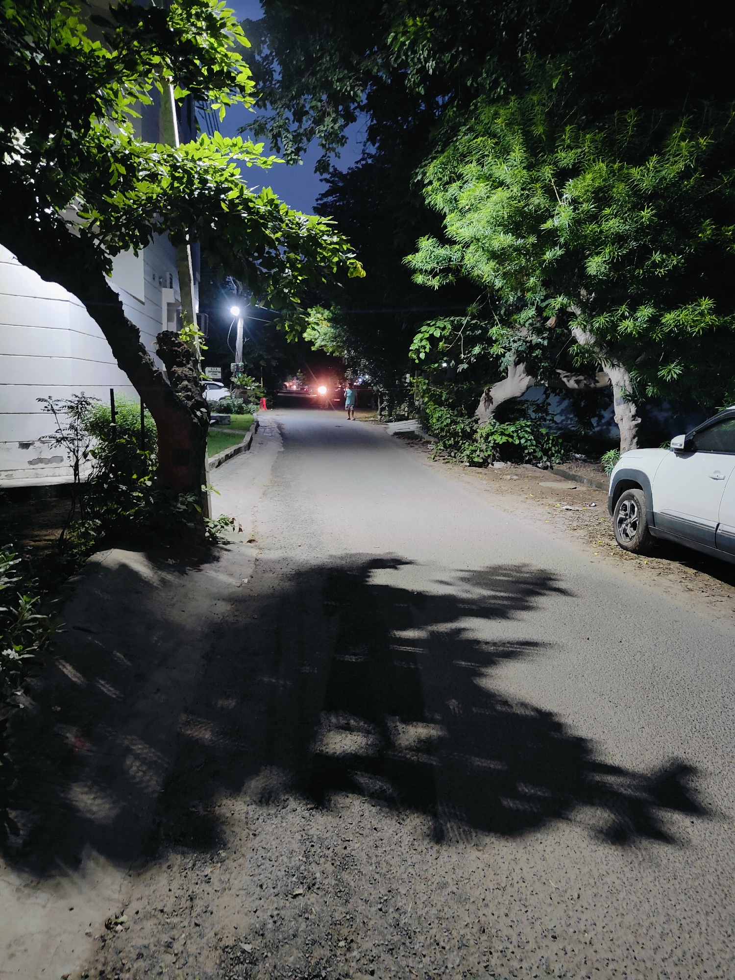 The image depicts a street scene at night in Gurgaon, India, possibly in a residential or suburban area. A paved road runs through the center of the frame, flanked by trees and foliage on both sides. The ambient lighting suggests it is nighttime, with streetlights casting a glow on the surroundings.
On the left side of the road, a white building with visible architectural details is partially visible, bordering a patch of greenery. A mature tree with a rough bark and a canopy of green leaves stands prominently in the foreground, casting a large shadow on the road. Adjacent to this tree, a smaller plant with delicate leaves is also present.
On the right side of the road, a white SUV is parked, its body and wheel clearly visible. Further down the road, two sets of headlights are illuminated, indicating approaching vehicles. A lone individual, dressed in light-colored clothing, is standing on the right side of the road, facing away from the camera, possibly waiting or observing.
The road surface appears to be asphalt with a coarse texture, and scattered leaves and debris are visible along the roadside. The overall atmosphere is subdued, with shadows playing a significant role in defining the scene, contributing to a sense of depth and mystery. The presence of streetlights, vehicles, and a pedestrian suggests a typical urban nighttime setting.
