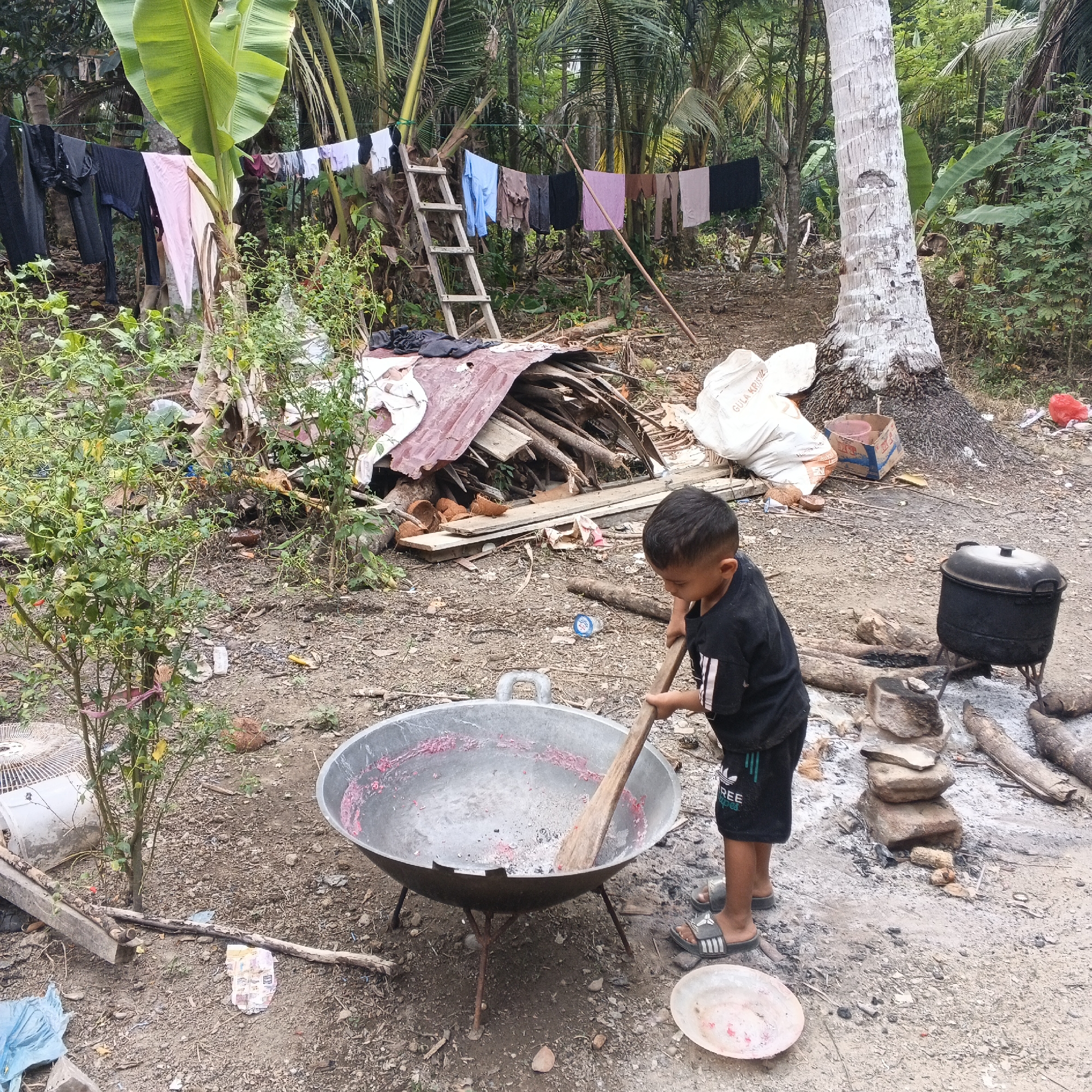 In an outdoor, rural setting, a young boy wearing a black t-shirt and shorts stirs a large pot with a wooden utensil. The pot, which appears to be made of metal and is on a stand, contains a pinkish substance. The ground is dirt and scattered with debris, including wood, leaves, and some discarded items. In the background, laundry hangs on a clothesline strung between trees and supported by a wooden ladder. Other elements in the scene include a large coconut tree, dense vegetation, a black pot on a fire pit, and bags of what looks like sugar. The overall impression is one of a simple, everyday life scene in a tropical environment.