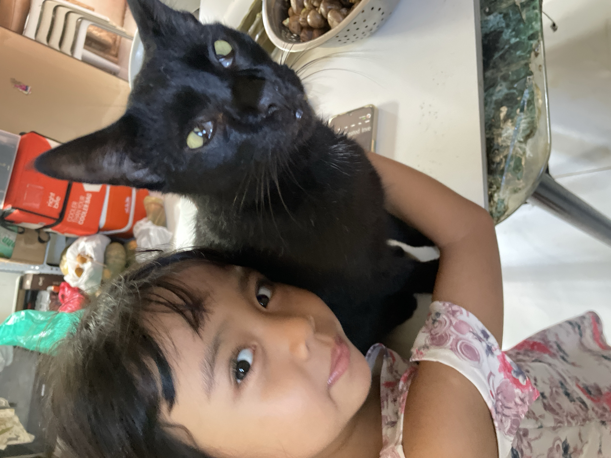 A girl is holding a black cat. The girl is looking at the camera. The cat is looking up. There is a table behind them with a colander full of nuts and a phone. There are bags and boxes behind them. The location is likely indoors, possibly a home in Davao City, Philippines.