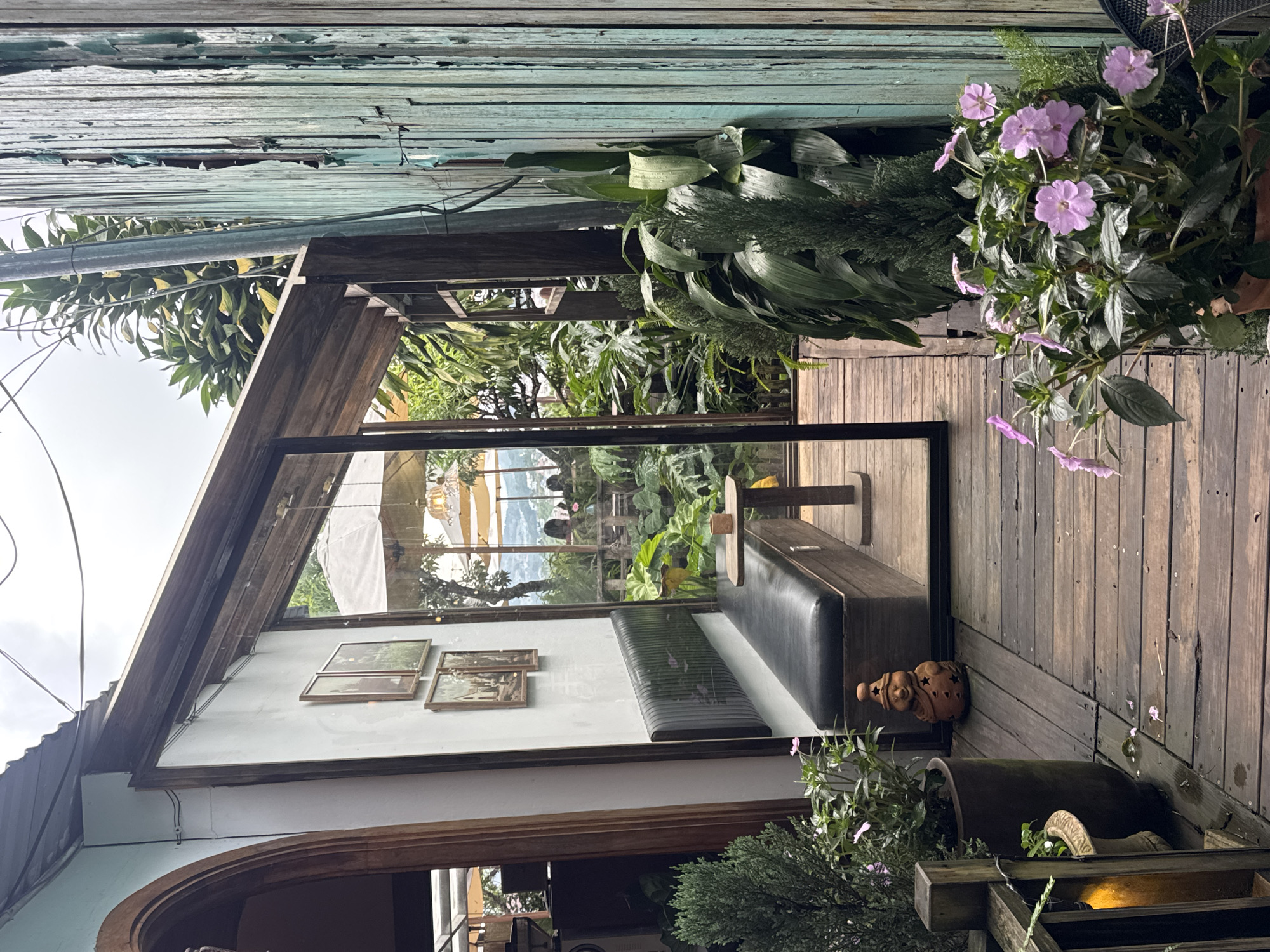 This image depicts an outdoor seating area of a cafe or restaurant in Da Lat, Vietnam. The scene is characterized by a rustic and natural aesthetic. A wooden deck forms the ground, with a long, dark upholstered bench positioned against a white wall adorned with framed pictures. Adjacent to the bench, a small wooden table holds a single cup. Large glass panels offer a view into the interior, revealing glimpses of tables, chairs, and patrons seated at them, with parasols and lush greenery visible in the background. The exterior is further defined by weathered, teal-colored wooden planks on the right side and an arched wooden doorway on the left. Several potted plants, including a tall evergreen and a planter with delicate pink flowers, are strategically placed on the deck, adding to the lush atmosphere. The overall impression is one of a tranquil, nature-infused dining or relaxation space.