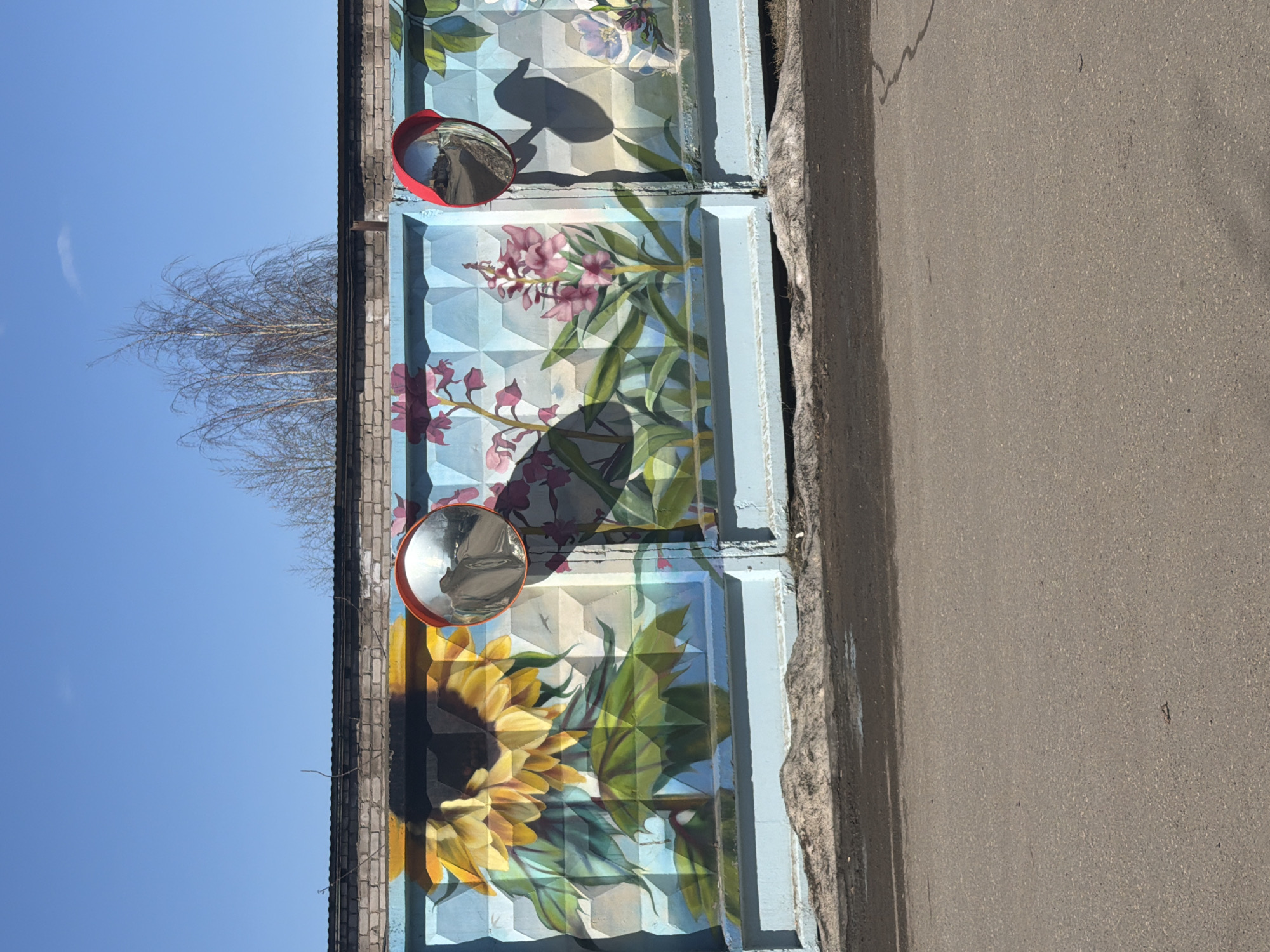 The image depicts a structure located in Chaikovsky, Russia, specifically a section of a decorative concrete fence or wall. This structure is painted with floral motifs including sunflowers, lilies, and generic flower patterns. The fence consists of patterned concrete blocks. Two convex safety mirrors with red frames are mounted on the fence. To the left, against a clear blue sky, there is a bare tree. To the right, the edge of an asphalt road is visible. The lighting suggests a sunny day.