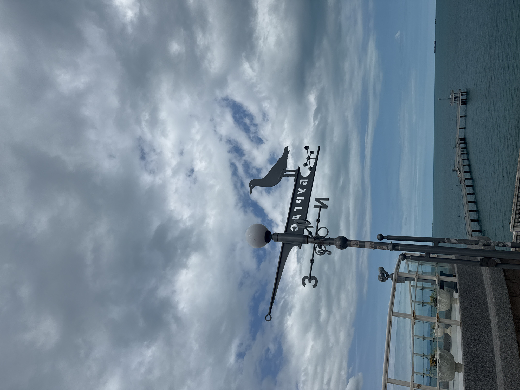 The image captures a cloudy day with a view of the Black Sea from Burgas, Bulgaria. In the foreground, a weathervane shaped like a seagull is prominently displayed against the overcast sky. The weathervane also features directional markings, including the Cyrillic letters "С" (South) and "И" (North), and the number "3". To the left, part of a decorative balcony railing with planters is visible. In the background, a long pier extends into the sea, and several cargo ships are spotted on the horizon. The overall atmosphere is somber due to the heavy cloud cover.