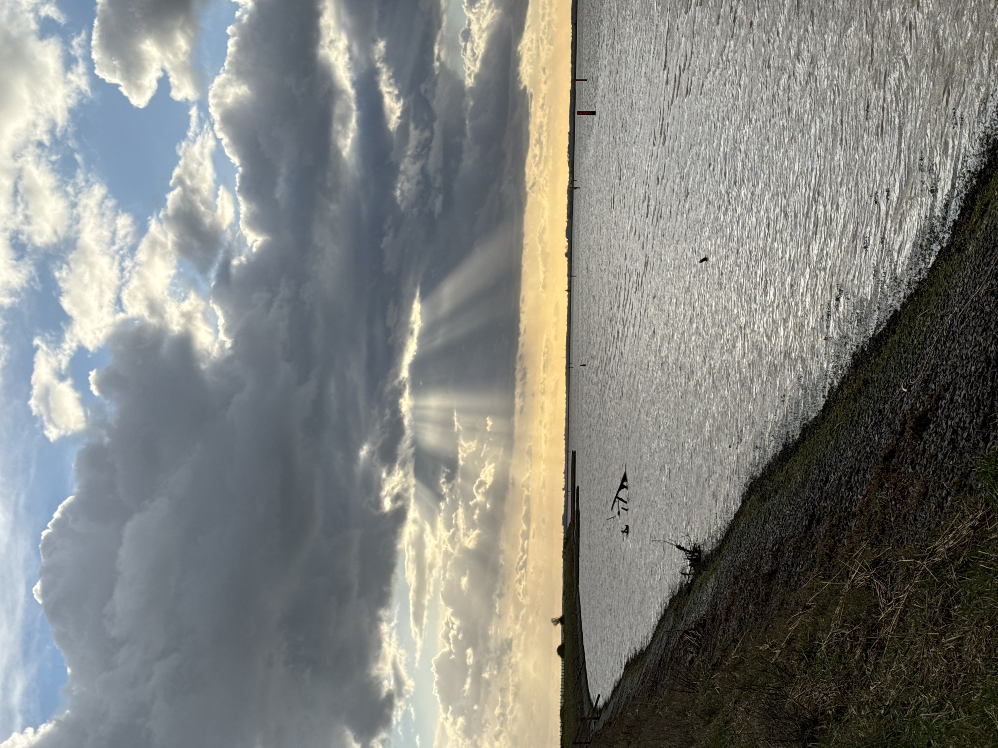 The image displays a wide expanse of water, identified as Breydon Water within the city of Great Yarmouth, United Kingdom, under a sky exhibiting mixed weather conditions. The upper two-thirds of the frame are dominated by a sky featuring a combination of dense, dark grey storm clouds and brighter, white to light grey clouds, with small areas of blue sky visible in the upper right. Distinct shafts of sunlight, or crepuscular rays, are visible in the upper left quadrant, piercing through a break in the clouds and illuminating the distant horizon.
The water, which occupies the lower portion of the image, appears grey and heavily rippled, reflecting the ambient light. Several navigational markers are present on the water's surface; specifically, two red cylindrical buoys are visible towards the right, and one yellow/green buoy is positioned further to the left. Near the left bank, partially submerged tree branches or debris protrude from the water. Two small, dark shapes, consistent with waterfowl, are present on the water near these submerged branches.
The left foreground depicts a gently sloping bank. This bank is covered with sparse, dry brown and green grass, transitioning to a dark, stony revetment at the water's edge. Further along the curving bank to the left, a single, small, bare tree or large bush stands. The distant horizon across the water reveals a low-lying, indistinct strip of land. No human figures or evidence of human activity are present within the scene.