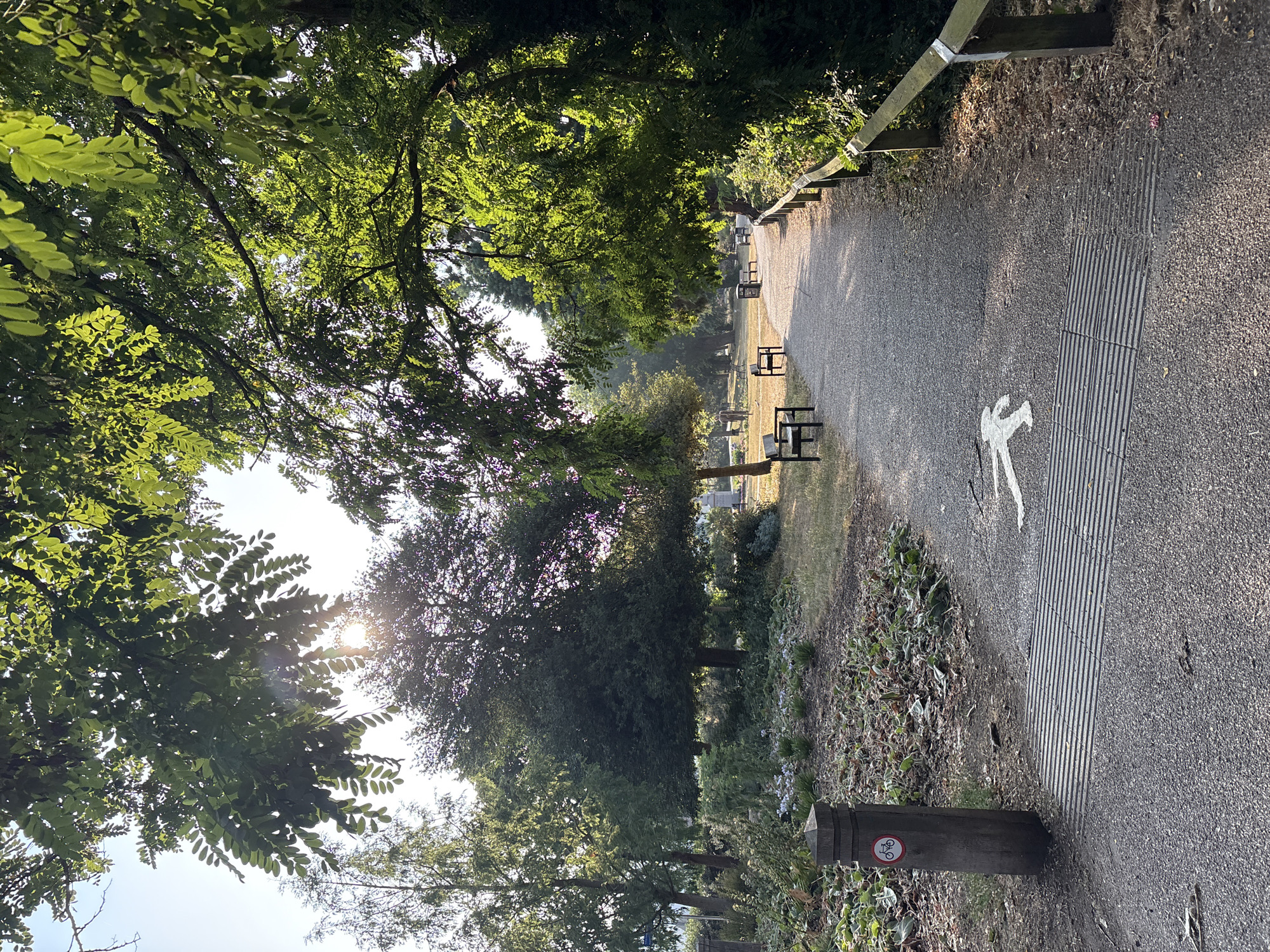 The image depicts a paved pathway in a park in Chelmsford, United Kingdom, with lush green trees arching over the scene. The sun shines through the leaves, creating dappled light on the path. Benches are visible along the pathway, and a sign with a bicycle symbol is mounted on a wooden post. A white silhouette of a person walking is painted on the path, indicating a pedestrian zone. The ground is covered with gravel and fallen leaves, and there is a metal grate across the path. The overall impression is of a serene and well-maintained park, ideal for leisurely walks and enjoying nature.