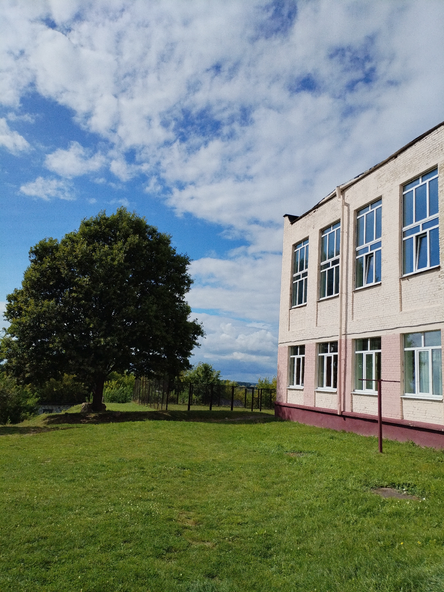 In Bialynichy, Belarus, this photograph captures a sunlit scene under a bright blue sky dotted with fluffy white clouds. A light-colored brick building, possibly an institutional or educational facility, dominates the right side of the frame. The building has multiple windows with white frames, and a pink band runs along the base of the first floor. In the foreground, a neatly mown green lawn stretches out. To the left, a large, mature deciduous tree with a full canopy of dark green leaves stands prominently. A dark metal fence can be seen behind the tree and extending along the middle ground. The overall environment suggests an outdoor area adjacent to a structure, likely a park or school grounds, on a clear day. There are no people or animals visible in the image.