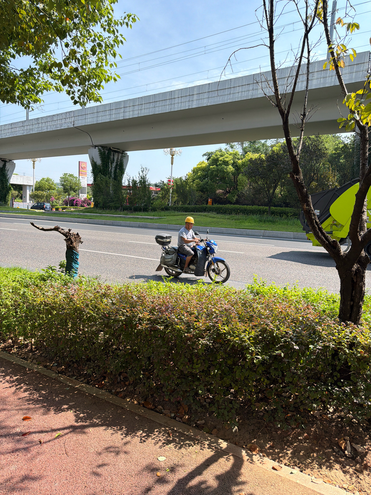 In Jiangjin District, China, on a bright, clear day, a man wearing a yellow hard hat and a light-colored t-shirt rides a blue motorcycle with a black storage box on the back. He is on a paved road, moving from left to right in the frame. To the right of the motorcycle, a large, lime green garbage truck is also present. The road is bordered by a median strip with green grass and some decorative bushes. In the foreground, there is a textured red pathway with dappled shadows from overhead trees. Behind the road, a large elevated structure, likely a bridge or overpass with power lines, stretches across the scene, supported by pillars draped with ivy. Trees with green foliage and some bare branches are visible on either side of the road, contributing to the urban landscape.