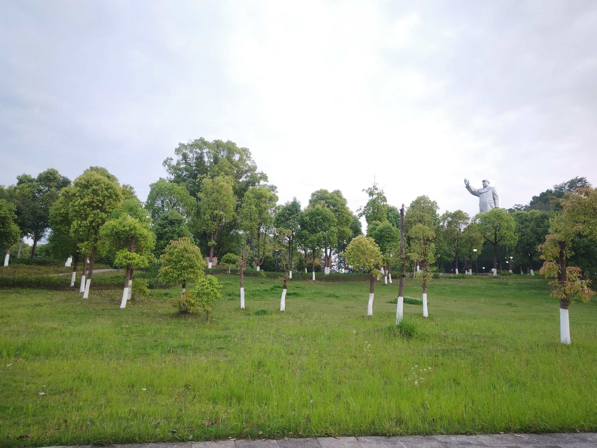 The image depicts a park or grassy area in the Chongqing High-tech Zone, China. The scene features a green lawn with evenly spaced trees, most of which have white paint on the lower portion of their trunks. In the background, a large statue of a man stands on a hill. The sky is overcast.