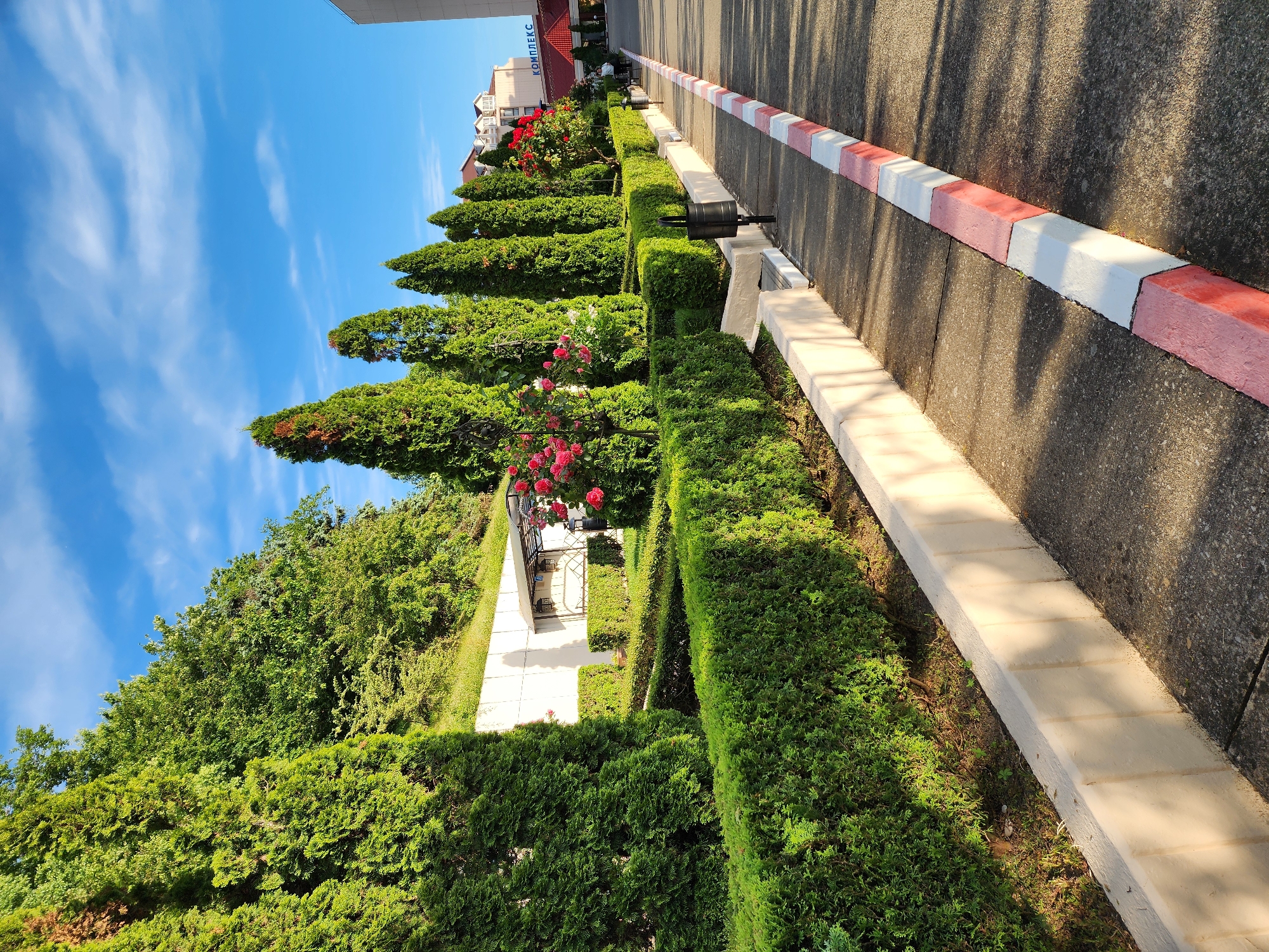 The image, taken in Sochi, Russia, displays a well-maintained outdoor scene featuring lush greenery, architectural elements, and a paved pathway under a bright sky. The perspective is tilted, showing the path stretching into the distance on the right, bordered by a red and white painted curb and a lighter-colored stone barrier. On the left, a series of tall, conical evergreen trees (resembling cypresses) and meticulously trimmed hedges create a verdant landscape. Scattered among the hedges and trees are rose bushes with vibrant red blooms.
In the background, a multi-story building with a red tiled roof and white walls is visible. On its side, the Cyrillic word "КОМПЛЕКС" (KOMPLEKS), meaning "Complex," is prominently displayed, suggesting it might be a hotel, resort, or residential complex. Further back, another building's roofline can be seen. A dark outdoor waste bin or a small bench is situated next to the pathway, integrated into the landscaping.
The time of day appears to be late morning or early afternoon, as evidenced by the strong, directional sunlight creating distinct shadows of the trees and hedges across the pathway. The sky is a clear, bright blue with scattered wispy white clouds, indicating pleasant weather. No people or specific activities are visible, presenting a serene and orderly environment. The scene emphasizes manicured natural beauty alongside urban infrastructure.
