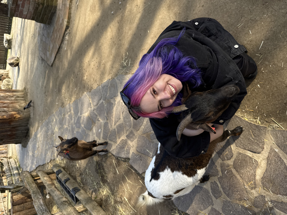 A young adult female with pink and purple gradient hair, wearing a black jacket and sunglasses on her head, smiles directly at the camera while embracing a large goat. This goat has dark fur on its head, visible horns, and a white and dark brown/black mottled body, along with an orange ear tag. A second, smaller, solid brown goat with horns and an orange ear tag stands on a stone-paved path to the rear-left of the female. A wooden post-and-rail fence with an attached feed trough borders the left side of the scene. The ground is a combination of irregular stone pavers and dirt areas containing scattered hay. In the background, a crow is visible on the dirt, along with wooden structures, large rocks, and a brick structure. The scene is illuminated by bright daylight, casting shadows. This interaction occurs within the Zagreb Zoo (Zoološki vrt grada Zagreba), located in the City of Zagreb, Croatia.
