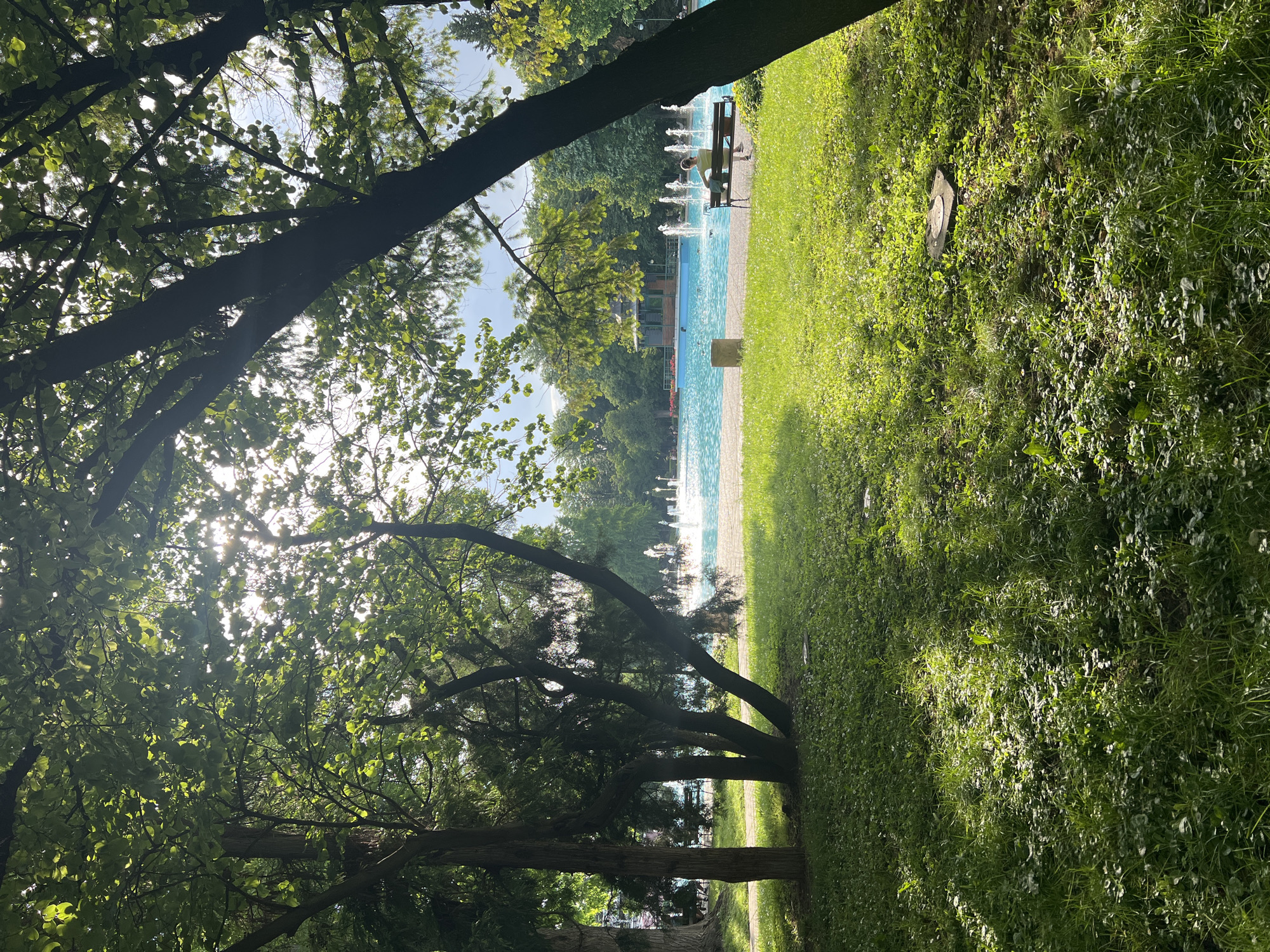 This media file presents a sunlit outdoor scene, likely in a park or garden in Plovdiv, Bulgaria. The image is framed by the dark, leafy canopies and trunks of several trees in the foreground, with bright sunlight filtering through the leaves, creating visible sun flares.
Beyond the trees, a long, rectangular water feature, resembling a pool or canal, extends across the midground. Its water is a vivid blue, and several white water fountains are actively spraying upwards from its surface. On the far side of this water feature, a single person is seated on a dark wooden bench, facing away from the viewer towards the water and fountains.
The right side of the image is dominated by a wide expanse of green grass, which shows a mix of sunlit patches and areas of shadow. A small, dark, square object is partially visible on the grass in the mid-right. The clear sky, bright lighting, and lush greenery indicate a pleasant, sunny day. No text is visible in the image. The scene suggests a tranquil setting for relaxation and enjoying nature.