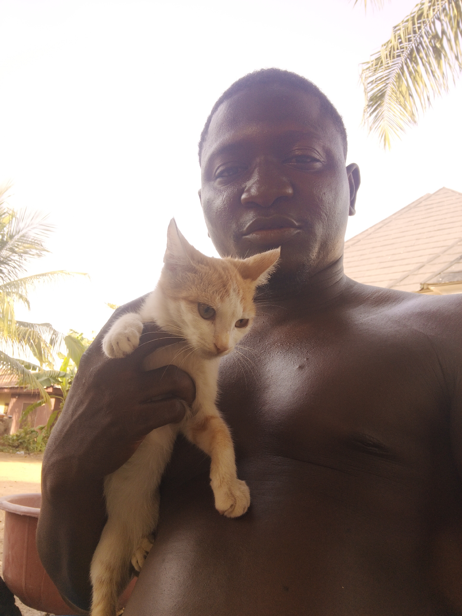 The image depicts a dark-skinned, shirtless man holding a kitten. The kitten is predominantly white with orange markings. The background shows vegetation and a building with a roof. The setting appears to be in Akwanga, Nigeria, based on the provided information.