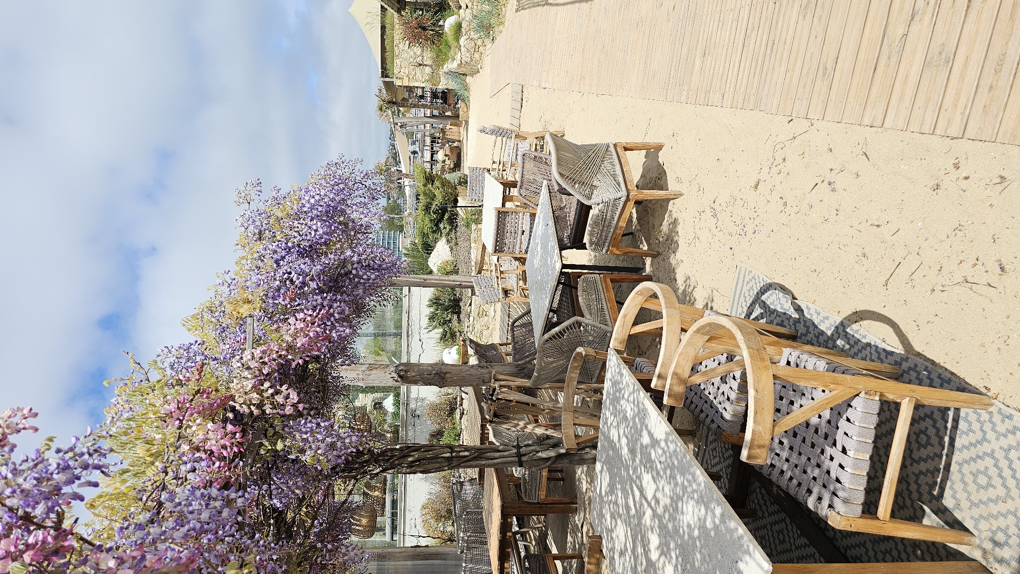 The image captures an outdoor dining area, likely at a restaurant or café, in Varna, Bulgaria. Tables and chairs are arranged on a sandy surface adjacent to a wooden boardwalk. A vibrant wisteria plant, adorned with purple and pink blossoms, partially obscures the foreground. The seating consists of wooden-framed chairs with woven gray seats, some with arched backs. Tables are topped with light-colored surfaces, some casting shadows. In the background, glimpses of the city and greenery are visible. The sky is partly cloudy.