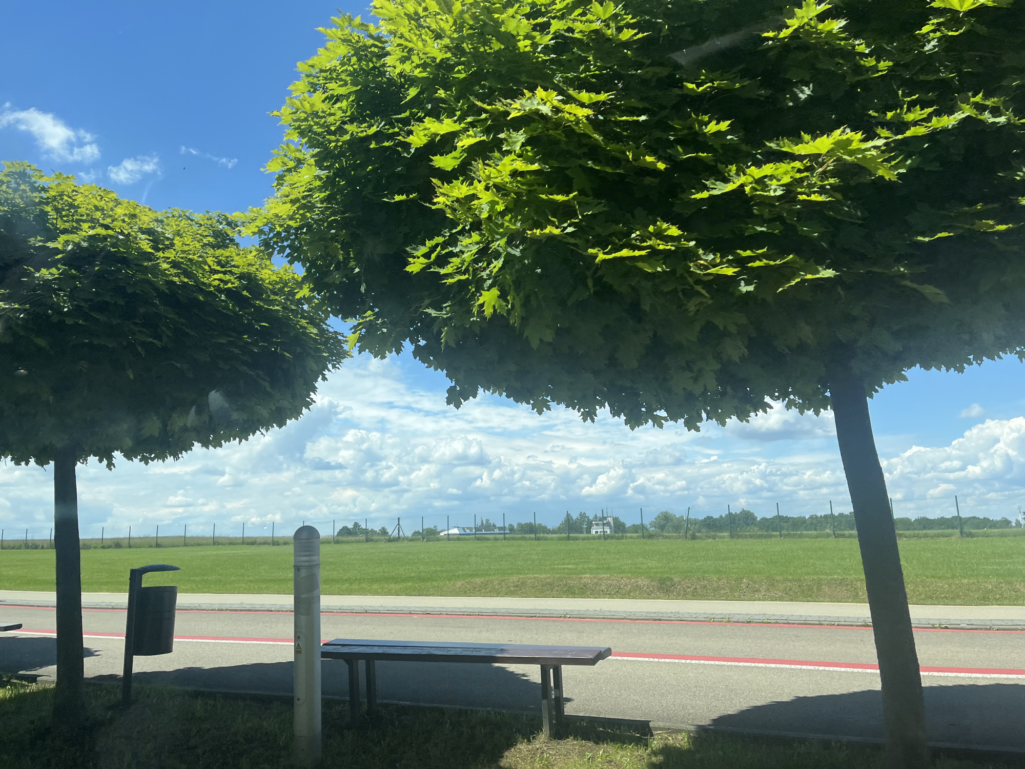 This is an outdoor, eye-level, medium shot of a grassy field under a bright blue sky with scattered white clouds. Two large, rounded trees with lush green leaves are prominent in the foreground, framing the view of the field. One tree is on the left side of the image, with its trunk visible, and the other is on the right, also with its trunk visible. In the middle ground, there is a paved area with a red line marking. A dark-colored bench is situated on this paved area, with a trash can next to it on the left. A white pole with a rounded top is also visible on the right side of the paved area. Beyond the paved area and the bench, a wide expanse of green grass stretches out, bordered by a fence in the distance. Several structures and trees are visible behind the fence, suggesting a more developed area further away. The overall scene conveys a sense of a park or an open public space on a sunny day.