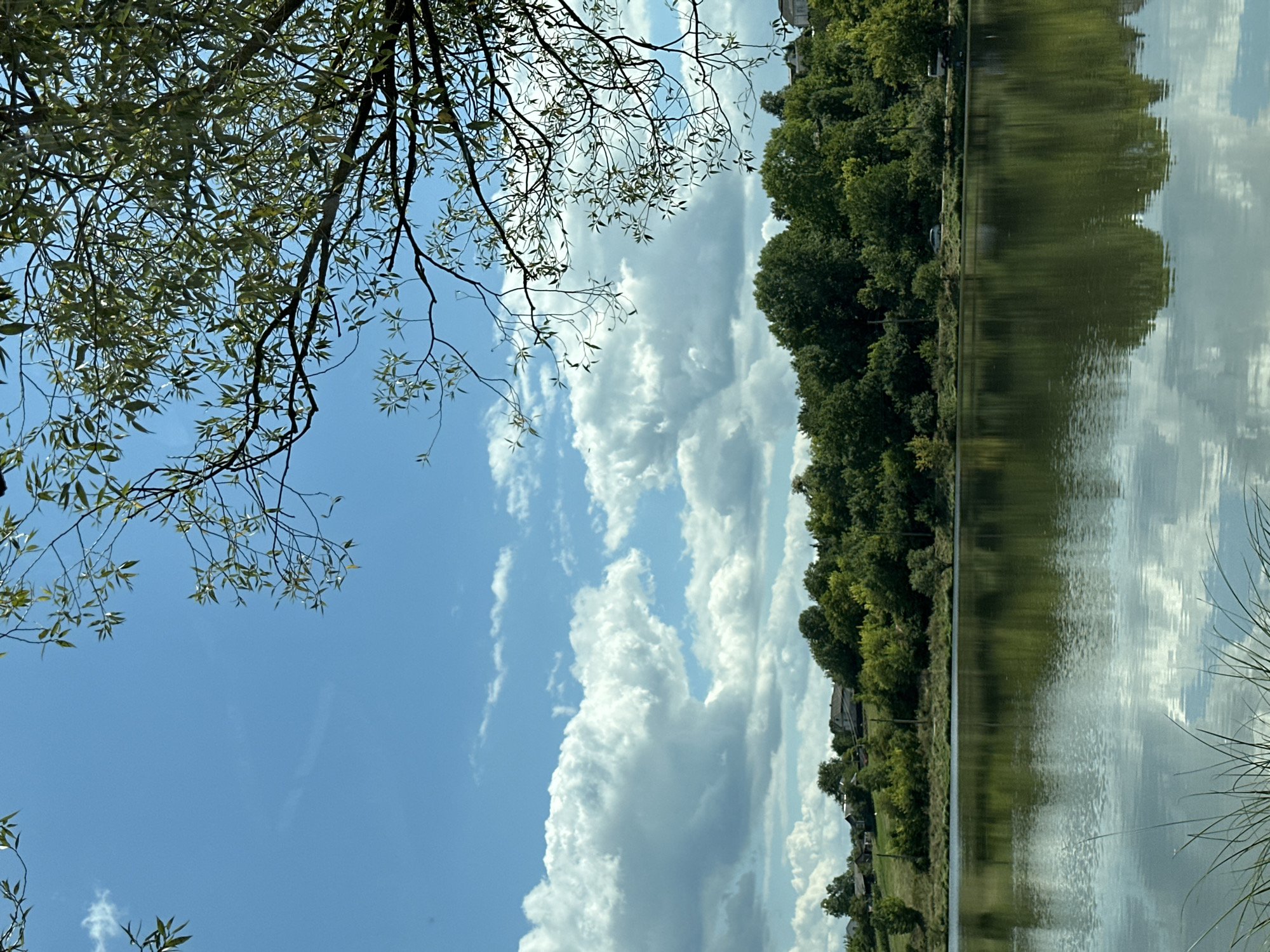 The image depicts a serene natural landscape with a body of water in the foreground, reflecting the sky and surrounding trees. The sky is a vibrant blue, dotted with fluffy white clouds. The water's surface is calm, with gentle ripples.
Beyond the water, a dense line of lush green trees forms a backdrop. The trees vary in size and shade of green, creating a textured wall of foliage. Some houses are visible nestled among the trees on a gentle slope, suggesting a rural or semi-rural setting. A few vehicles are also present, a silver car and a white van, parked or driving along a road that runs parallel to the water's edge.
In the upper right corner of the frame, tree branches with delicate green leaves extend into the sky, adding a natural frame to the scene. The overall impression is one of tranquility and natural beauty. The location is identified as Makiv, Ukraine.