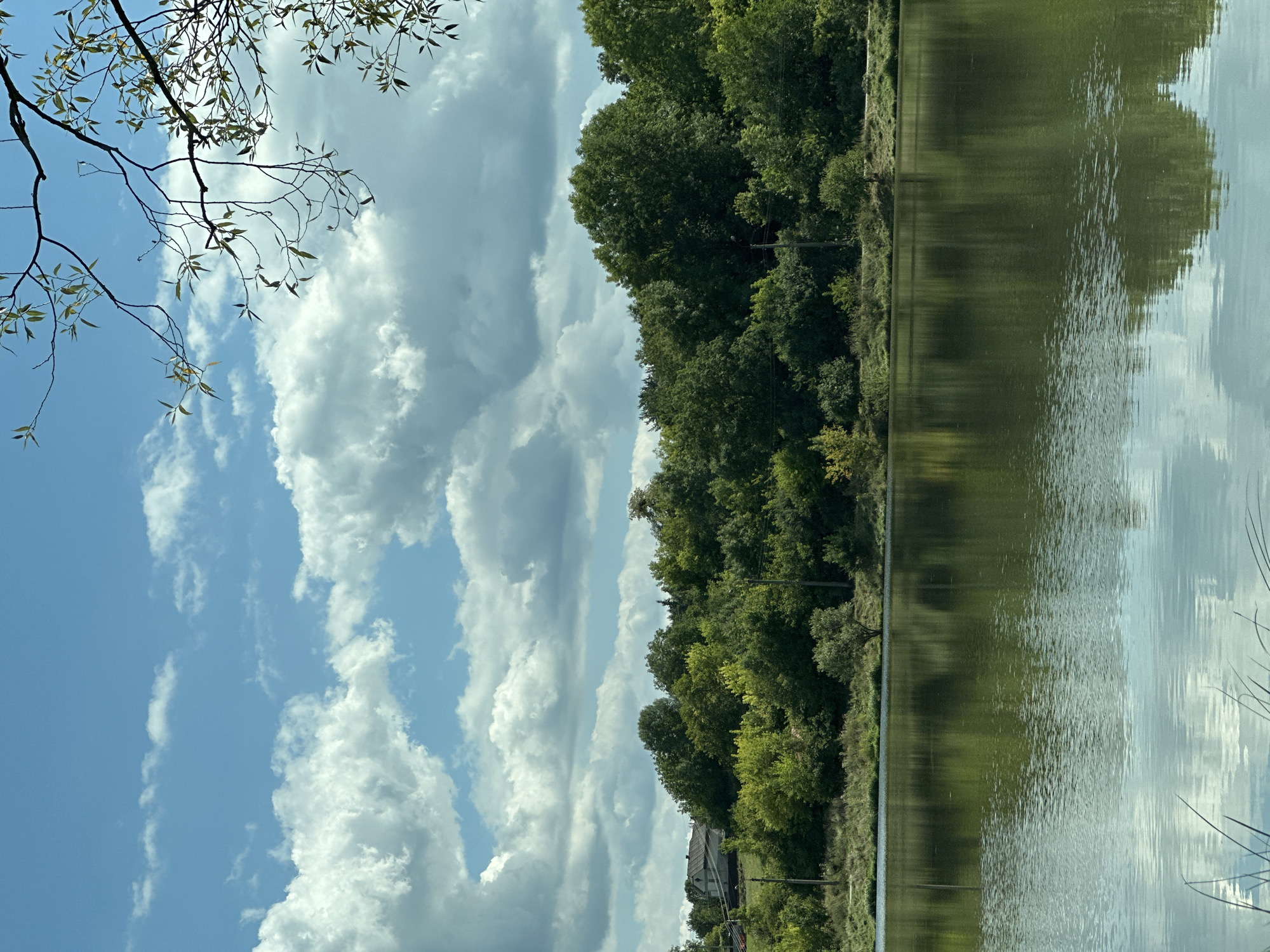 The image captures a serene landscape featuring a body of water in the foreground, reflecting the lush green trees and the blue sky with scattered white clouds. The shoreline is lined with dense foliage, with a few buildings visible in the distance on the left side. The scene appears to be set in a natural environment, possibly a park or a rural area. The sunlight creates a soft illumination, enhancing the tranquil atmosphere. No people or animals are visible in the image. The overall impression is one of peacefulness and natural beauty. The location is identified as Makiv, Ukraine, suggesting a specific geographical context for this picturesque scene.