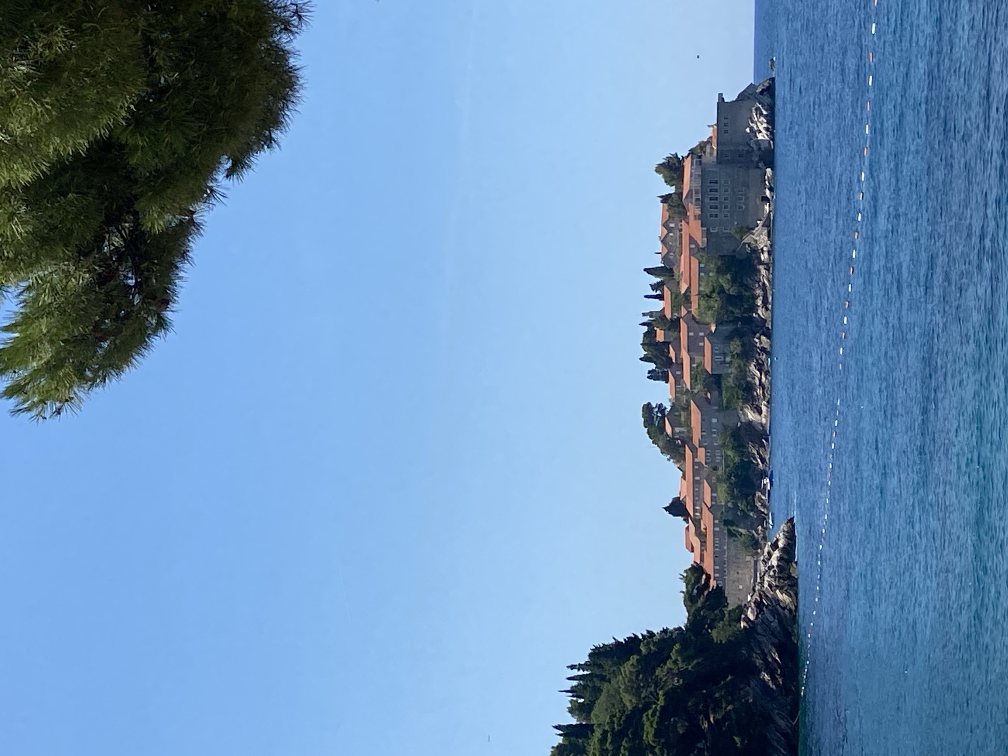 A vertical, eye-level, medium shot captures the Sveti Stefan island resort in Montenegro, bathed in sunlight under a clear blue sky. The foreground is dominated by the bright blue, gently rippling water of the Adriatic Sea, with a white and orange buoy line visible just below the surface. To the left, a rocky, tree-covered cliff juts out into the sea, its dark green foliage contrasting with the vibrant water.
The main subject is Sveti Stefan itself, a fortified island village situated on a rocky peninsula. The buildings, with their characteristic terracotta roofs, are clustered tightly together. They appear to be a mix of stone structures, some with visible windows and architectural details. Cypress trees and other greenery are interspersed among the buildings, adding to the picturesque scene. The island is connected to the mainland by a narrow causeway, not fully visible in this frame.
In the upper right corner, a portion of a dark green pine tree with visible needles hangs into the frame, providing a natural frame for the scene and suggesting the vantage point from which the photo was taken, possibly from a higher elevation or another nearby landmass. The overall impression is one of a tranquil, idyllic Mediterranean landscape. There are no visible people or animals in the frame.