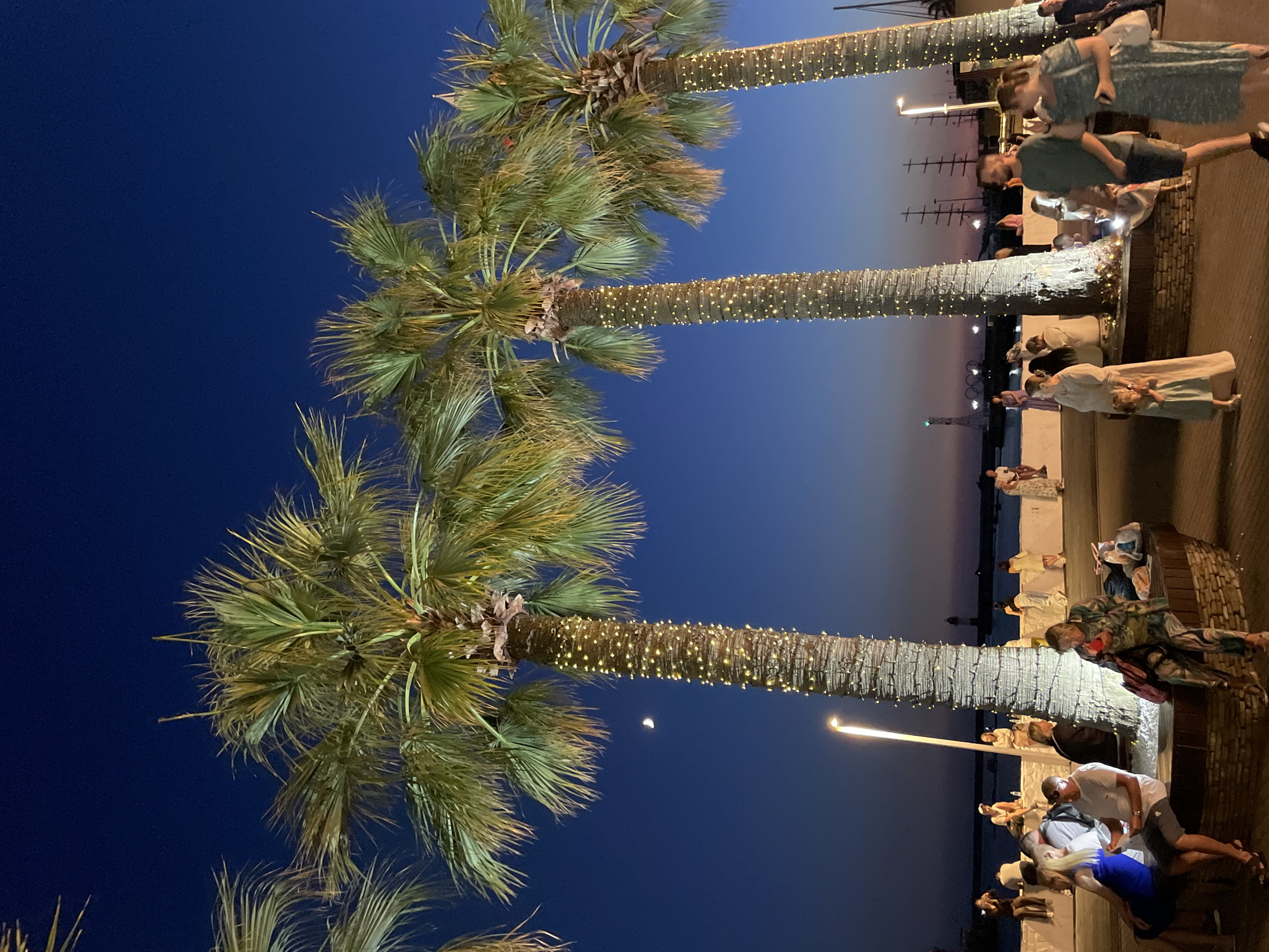 This is a nighttime, eye-level, full shot of a waterfront promenade in Sochi, Russia, illuminated by decorative lights on palm trees and distant structures. Four prominent palm trees, adorned with strings of small, warm-toned lights wrapped around their trunks, are the central focus. The sky is a deep twilight blue, with a sliver of a crescent moon visible to the left of the leftmost palm tree. The foreground shows a paved walkway and several people seated and standing, engaged in various activities.
On the left, a group of people are seated on a bench. A woman in a blue dress and a blonde woman in white are looking at something in their hands. A man in a white t-shirt and gray shorts is also seated. To the right, a woman in a patterned green and beige outfit is seated on the ground, holding a small red object. Further to the right, a man in a green t-shirt and dark shorts is walking, and a woman in a patterned green dress is holding a white bag and a phone.
In the background, there is a low white wall separating the promenade from the water. Beyond the wall, people are gathered, and in the distance, a lighthouse and several tall ships with masts are visible against the darkening horizon. The atmosphere appears relaxed and festive, with the lights creating a warm ambiance.