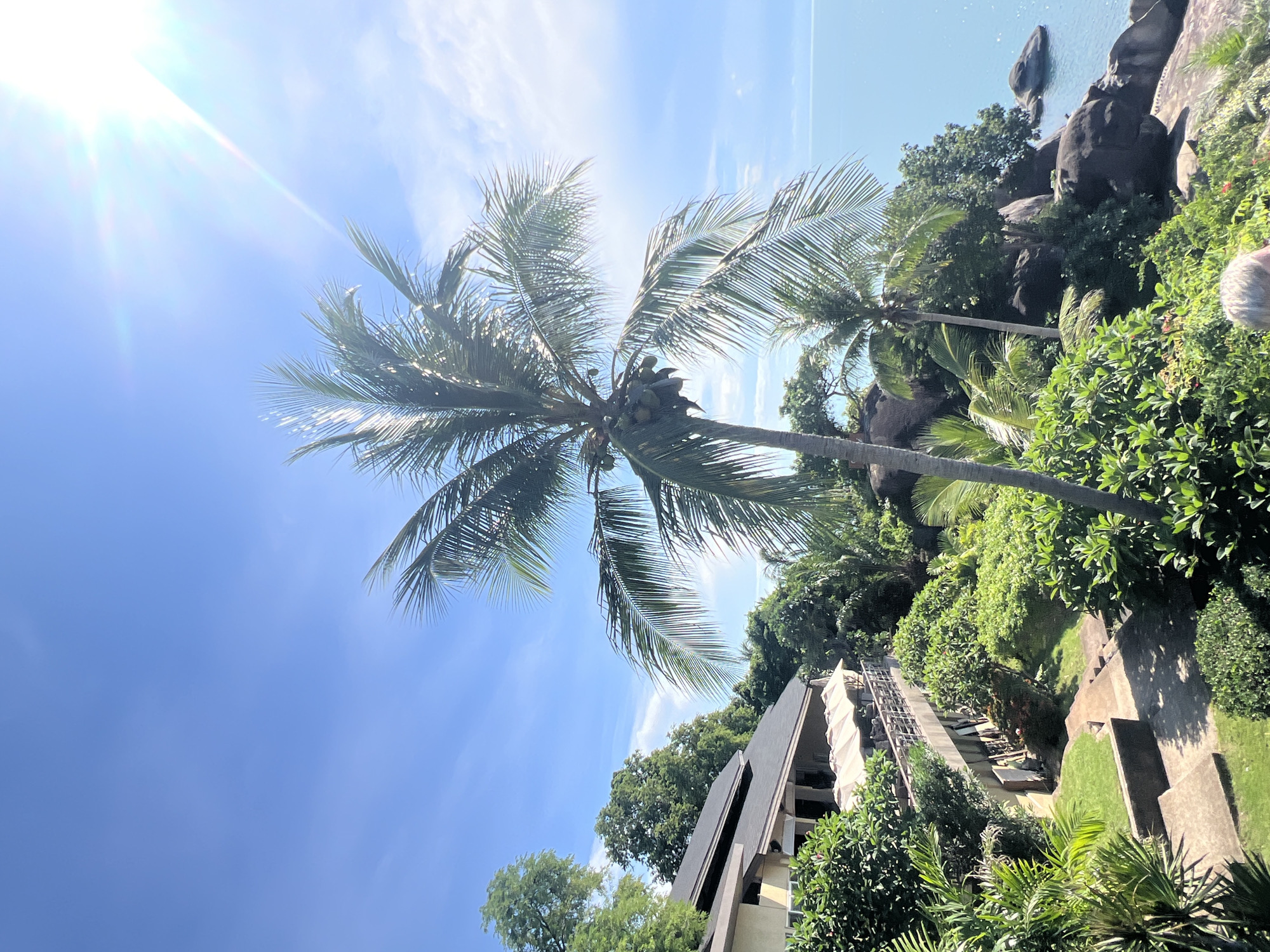 A bright, sunny day illuminates a tropical landscape at Baan Chaweng Noi, Thailand. The scene is dominated by a tall palm tree with coconuts, its fronds reaching towards the clear blue sky, where the sun is a brilliant lens flare in the upper right corner. To the left, a modern building with a dark roof and light-colored walls features an elevated walkway with several umbrellas providing shade over outdoor seating. Lush green foliage, including smaller palm trees and dense bushes, surrounds the building and extends down a series of concrete steps. Beyond the vegetation and rocky outcrops, the calm, turquoise ocean stretches to the horizon.
