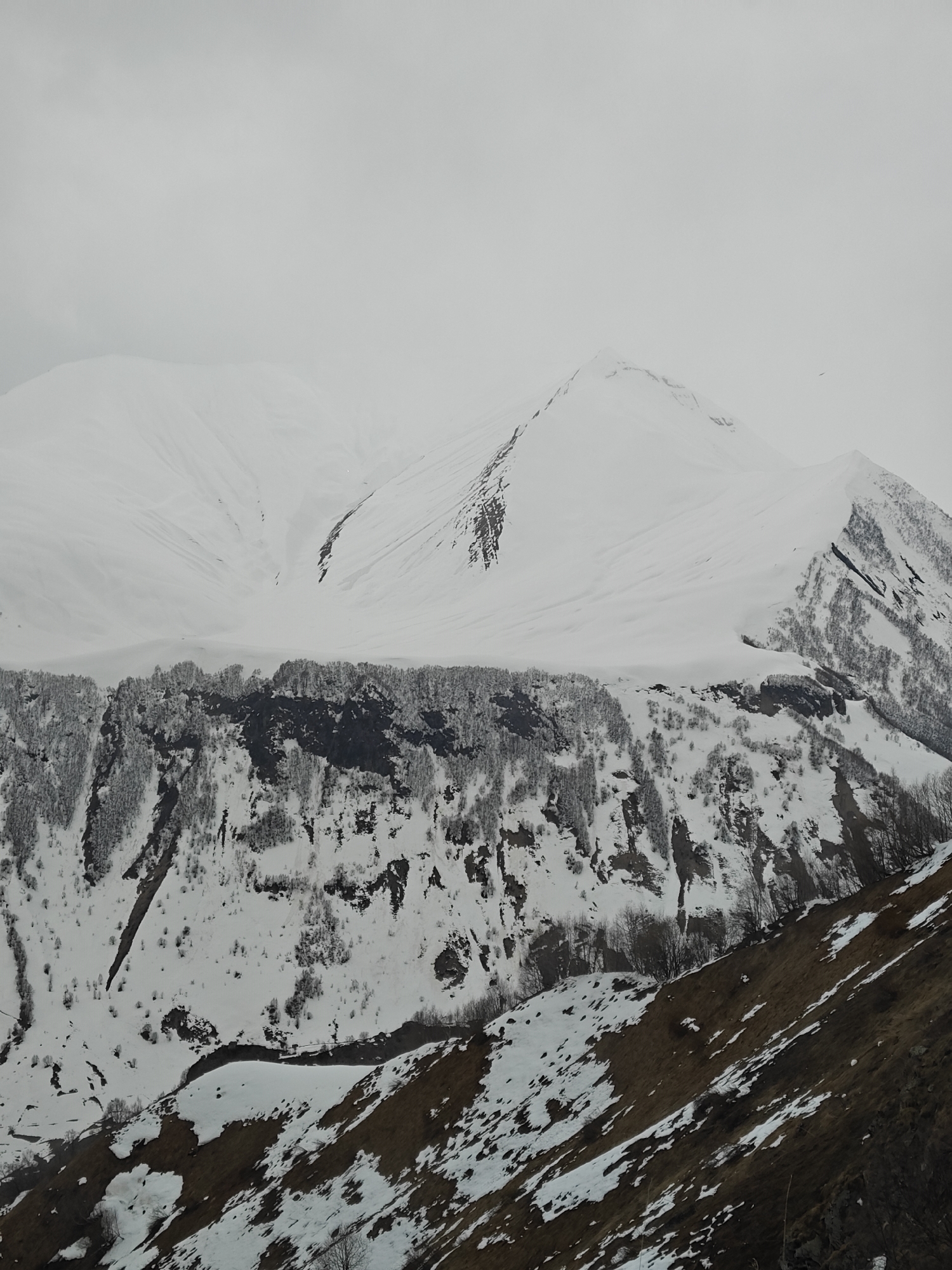 The image shows a mountainous landscape covered in snow, likely located in the Dariali region of Georgia. The foreground consists of a brown, grassy slope with patches of snow. A river runs through this area. Above this, there's a steep, rocky cliff covered with trees, some with snow on their branches. The background is dominated by a large, snow-covered mountain range under a cloudy sky. The snow appears deep and continuous on the mountain peaks.