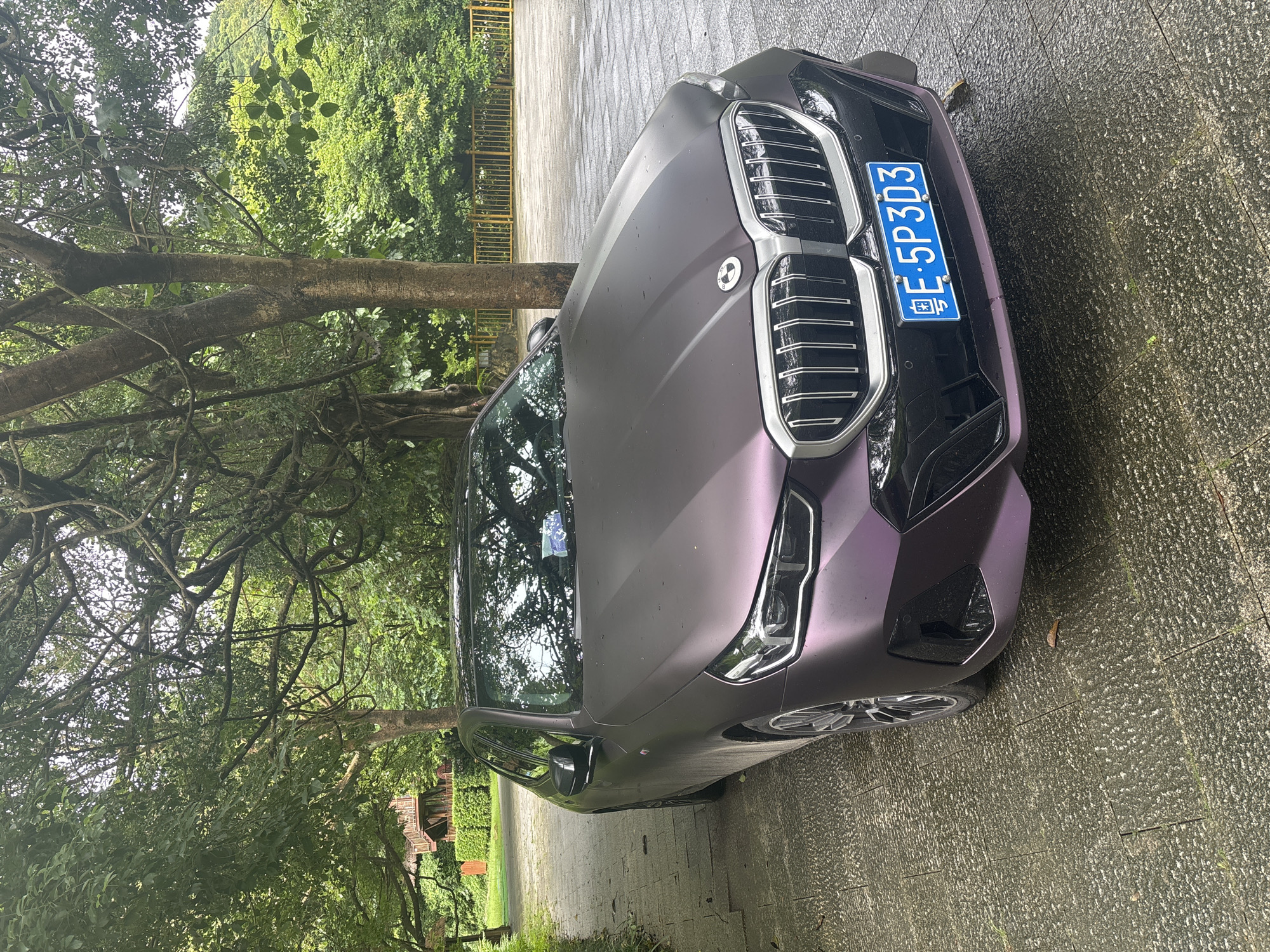 A matte purple BMW sedan is parked on a stone-paved surface under a canopy of trees. The car is positioned at an angle, facing slightly towards the left of the frame, with its front end prominently displayed. The license plate is visible and reads "E·5P3D3". In the background, lush green foliage and trees dominate the scene, with a glimpse of a building with wooden structures on the left side and a yellow railing on the right. The ground appears wet, suggesting recent rain or damp conditions.