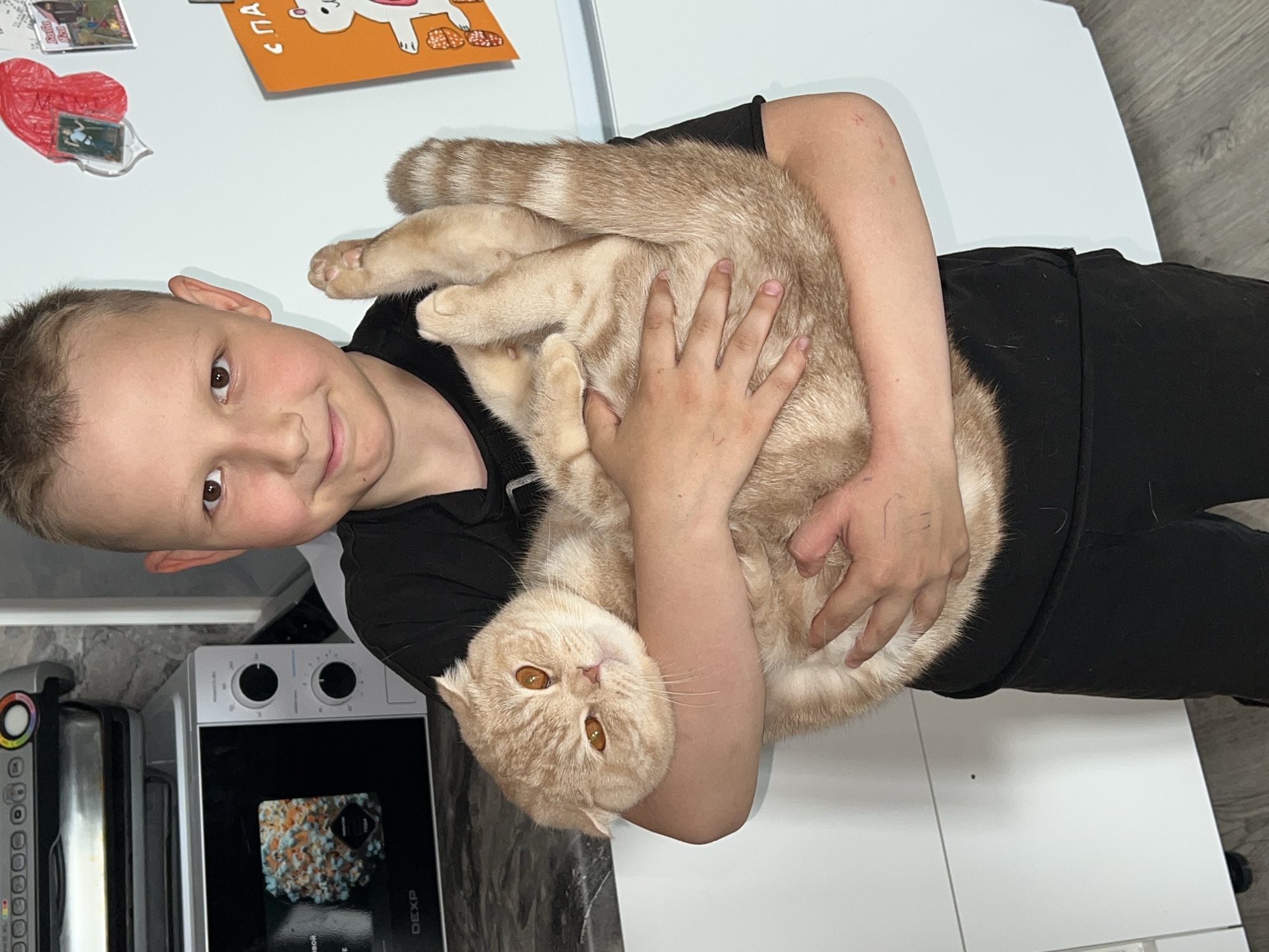 A young boy with a close-cropped haircut, wearing a black t-shirt, is holding a light orange and tan tabby cat in his arms. The cat has distinctive orange eyes and is positioned with its head facing down. The boy is smiling slightly at the camera.
In the background, there is a white kitchen counter and cabinets. An oven and toaster oven are visible on the left side of the frame. A red heart-shaped magnet and an orange card with a drawing on it are attached to the cabinets. The floor is light gray tile.
The location is potentially in a residence in Izhevsk, Russia.